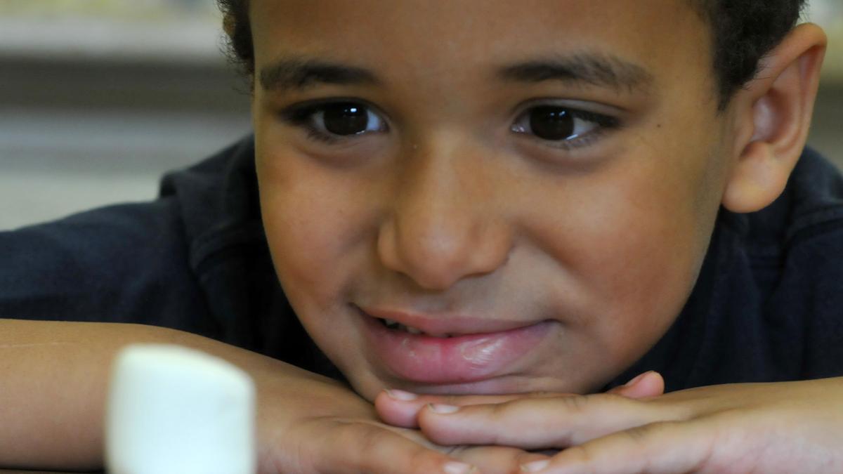 A young boy smiling, resting his chin on his hands, looking at a marshmallow on a table.