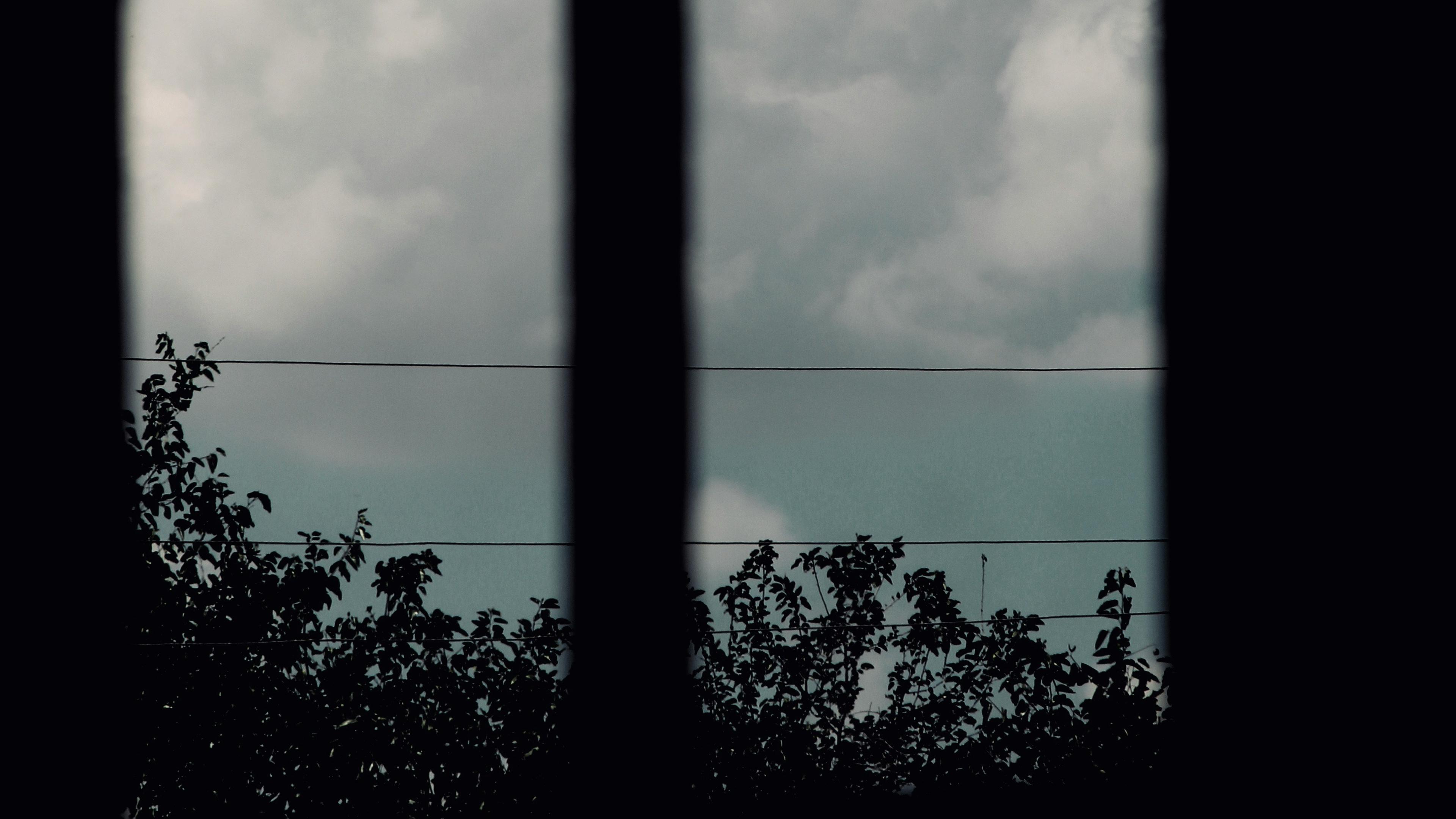 Photo of a large cloud viewed through a window framed by silhouetted trees and power lines.