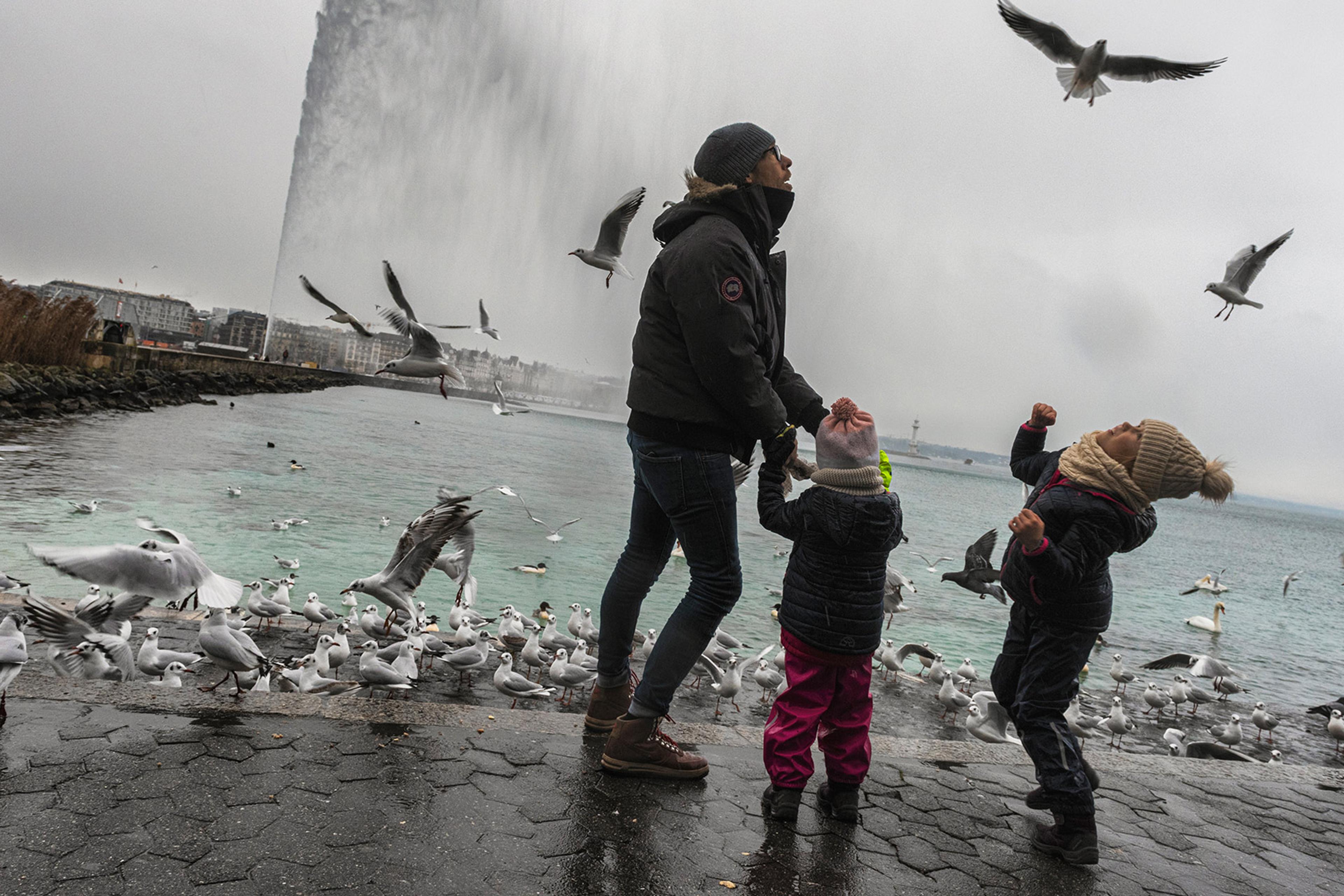 A person and two children stand on shore promenade, surrounded by seagulls, with a large water fountain and cityscape in the background.