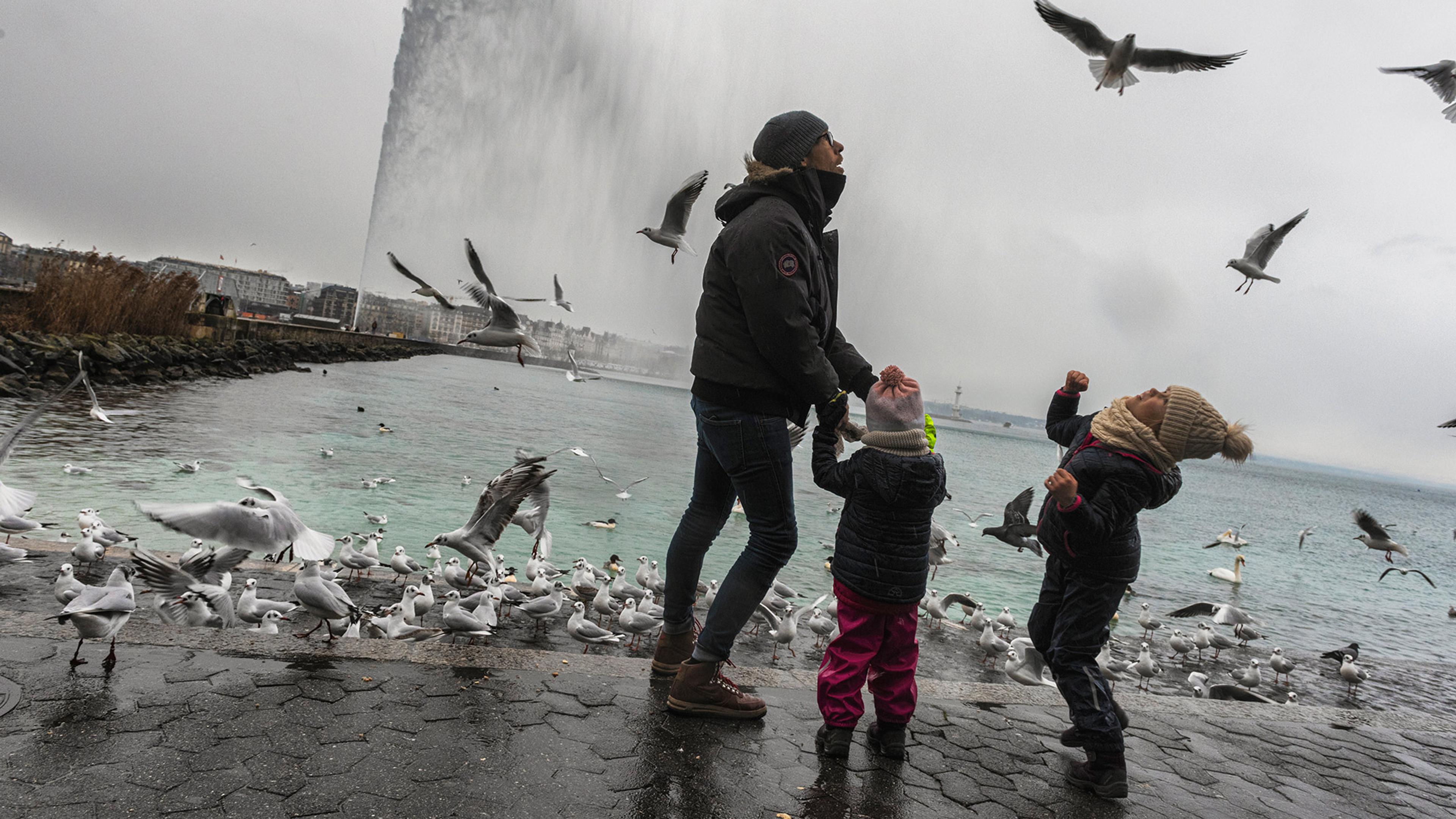 A person and two children stand on shore promenade, surrounded by seagulls, with a large water fountain and cityscape in the background.