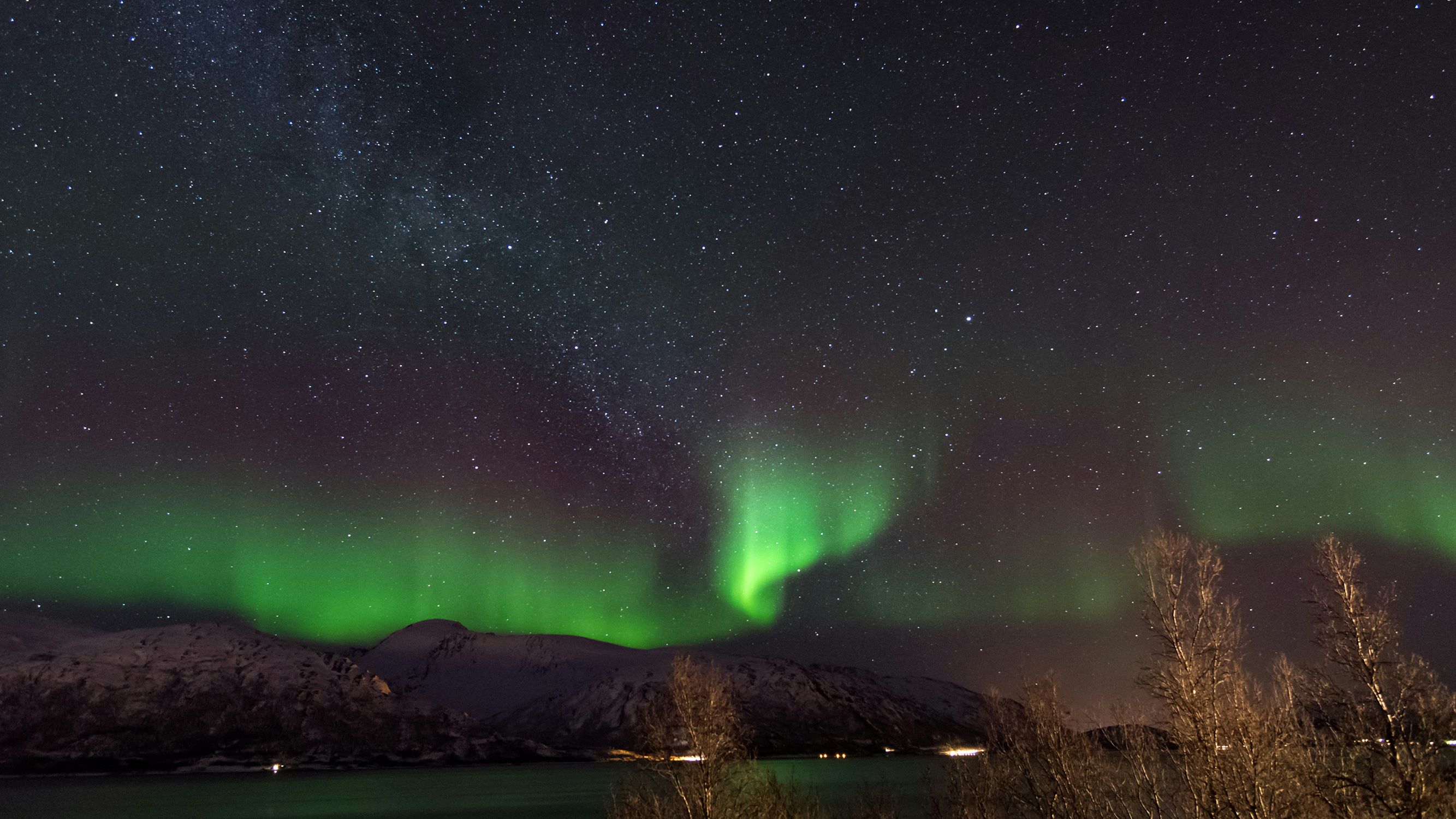 The Northern Lights glowing green above snowy mountains under a starry sky, with silhouetted trees in the foreground.