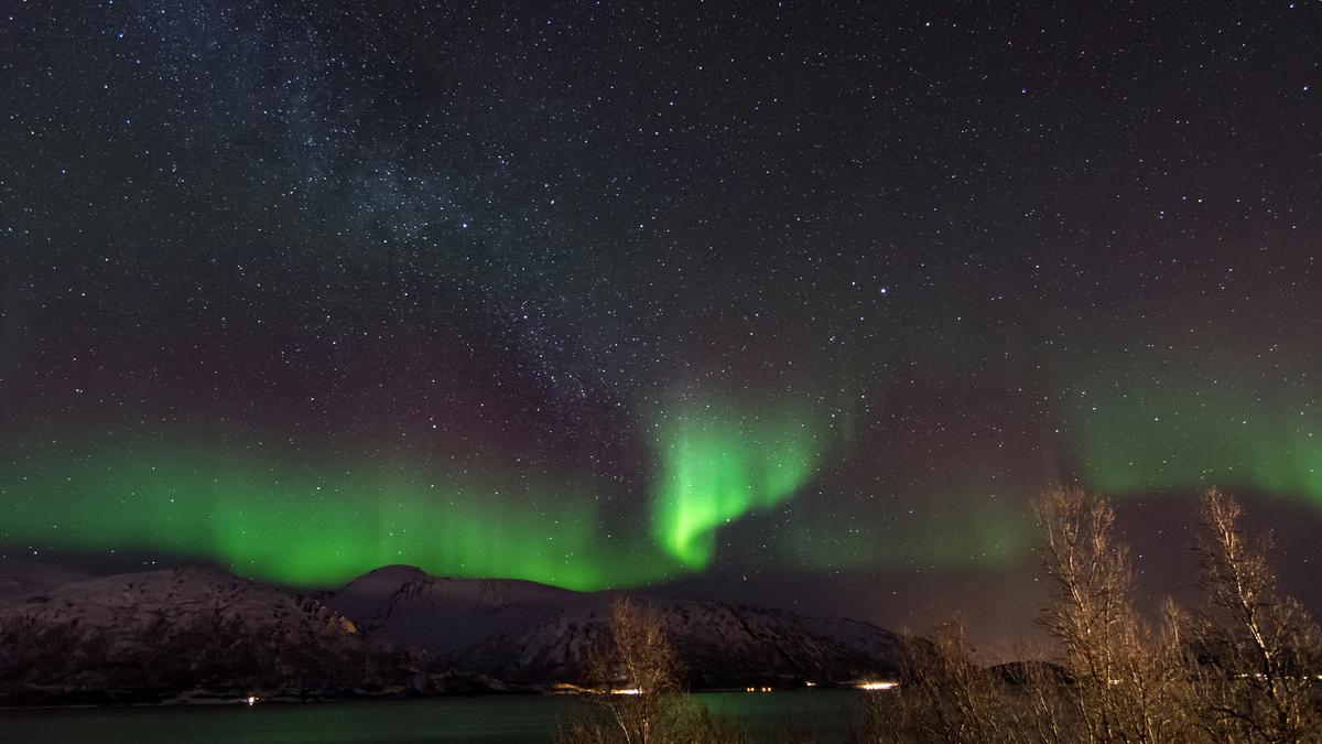The Northern Lights glowing green above snowy mountains under a starry sky, with silhouetted trees in the foreground.