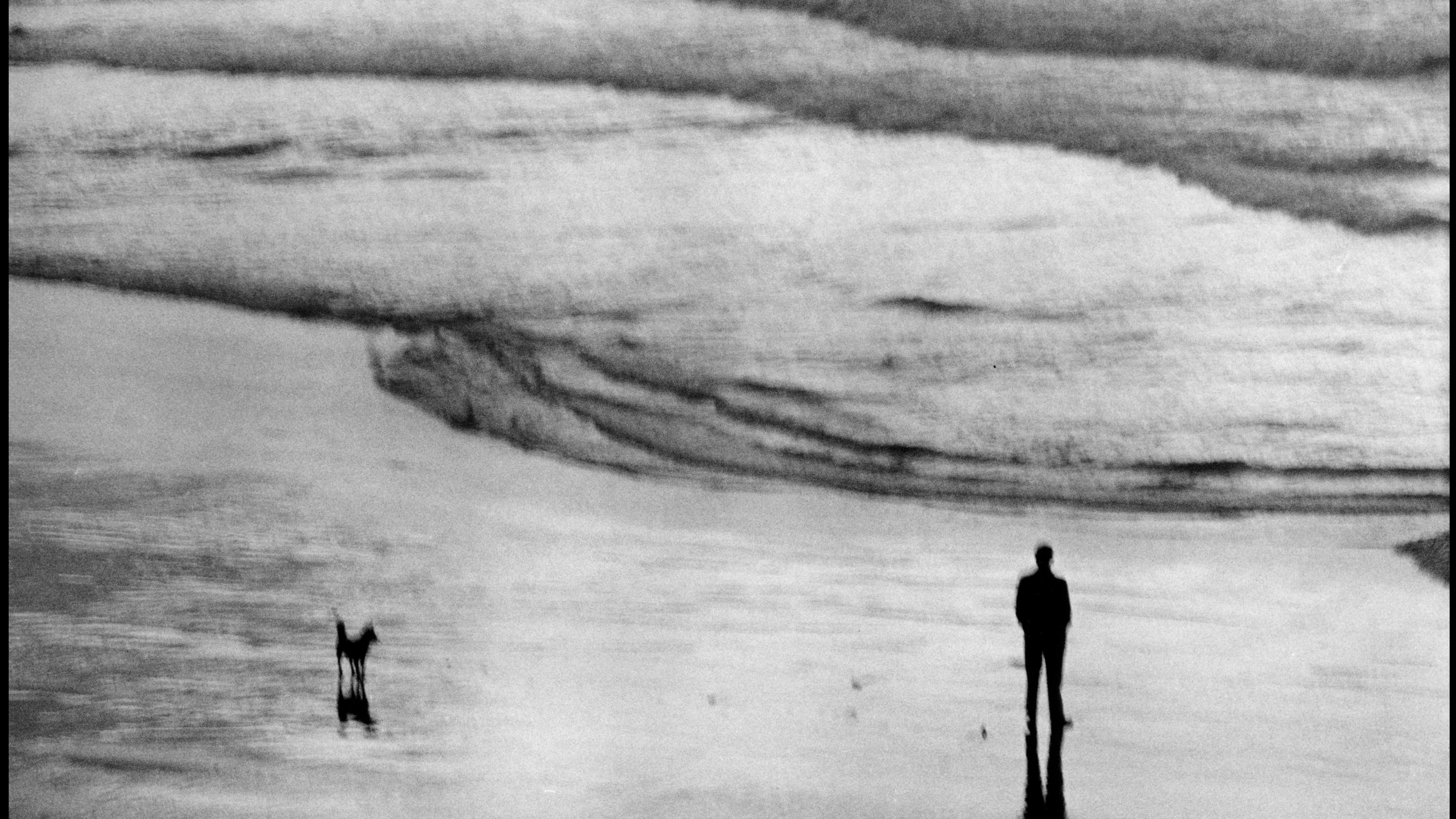 Black and white photo of a person and a dog standing apart on a wet beach with waves in the background.