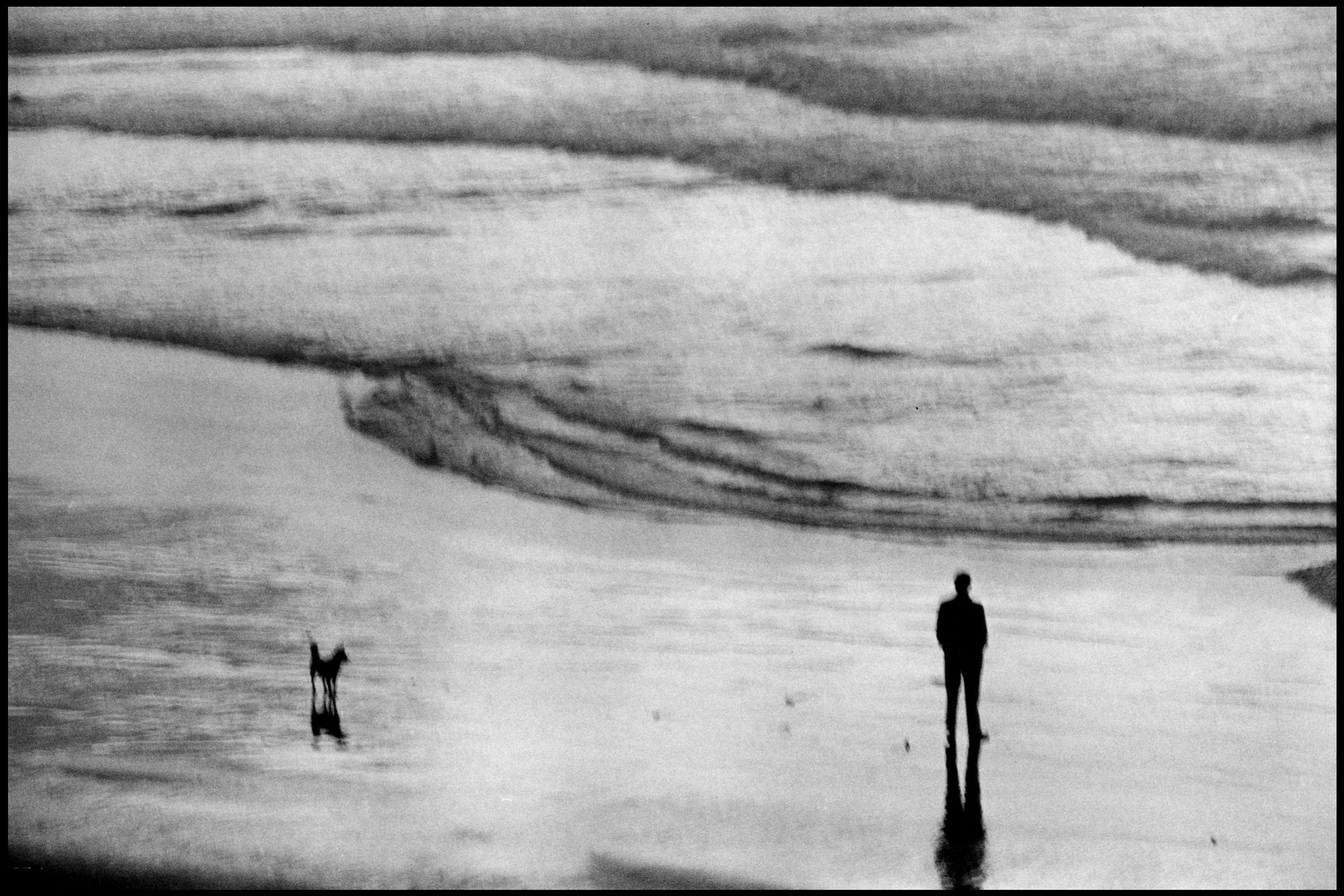 Black and white photo of a person and a dog standing apart on a wet beach with waves in the background.