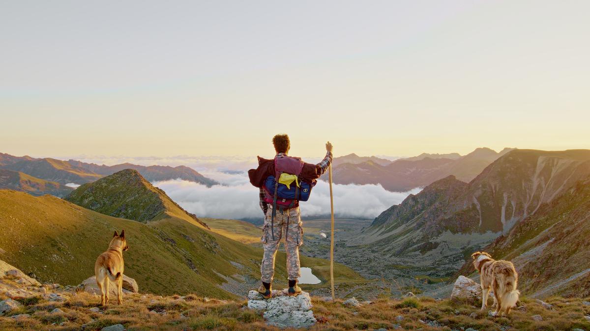 Photo of a hiker with a backpack and two dogs on a mountain peak at sunset, above the cloudline and overlooking a valley.