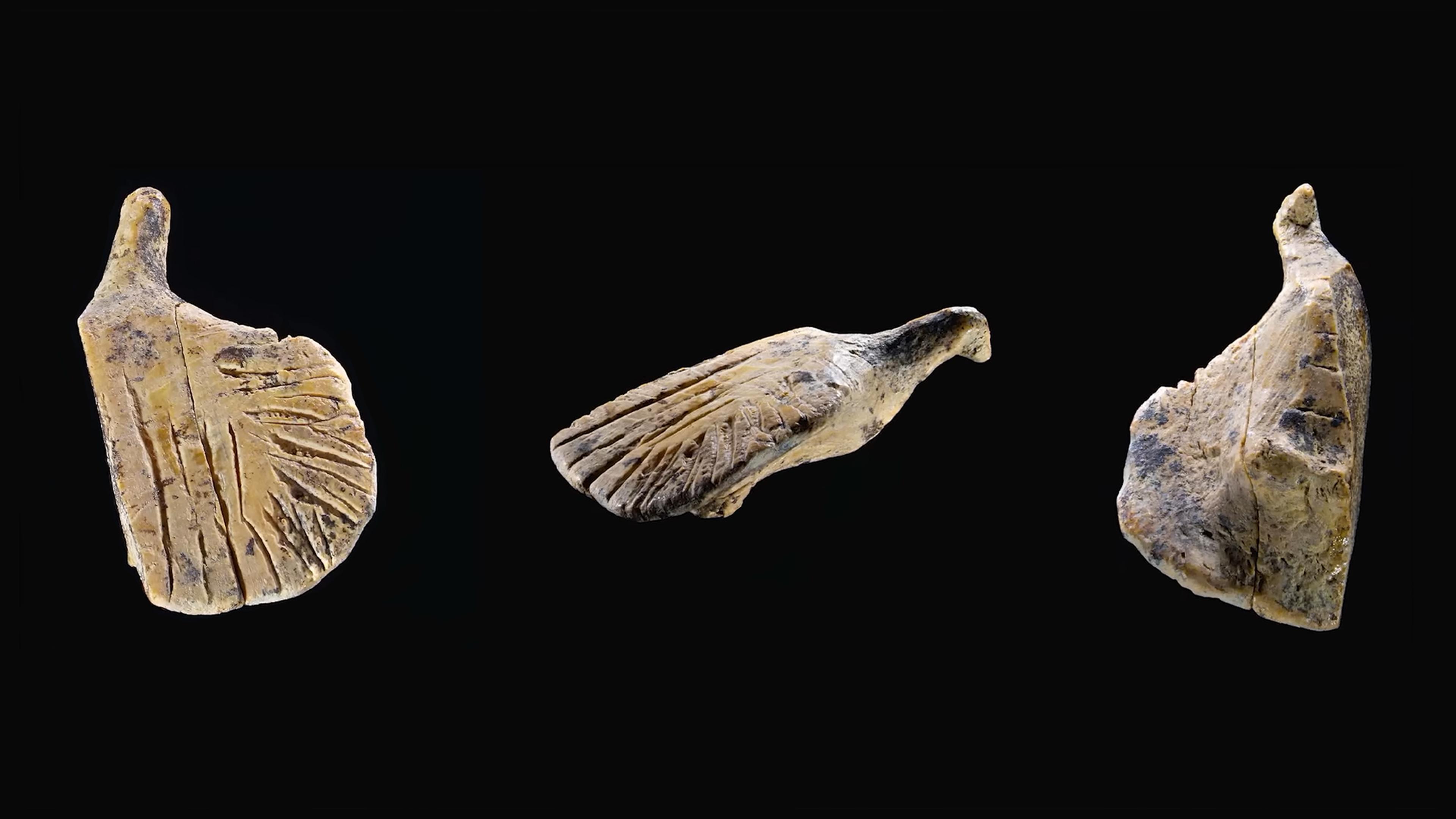 Photo of an ivory carving depicting a bird, shown from three angles against a black background.