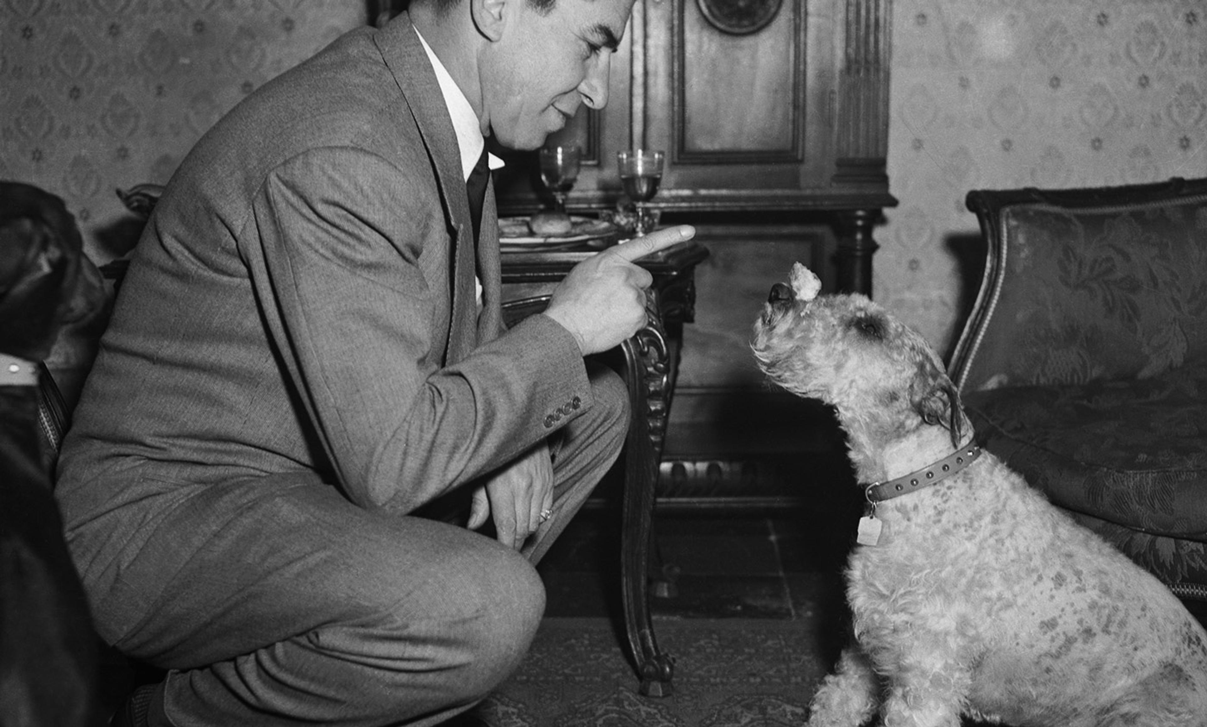 Black and white photo of a man in a suit interacting with a dog indoors, with the man pointing and the dog balancing an object on its nose.