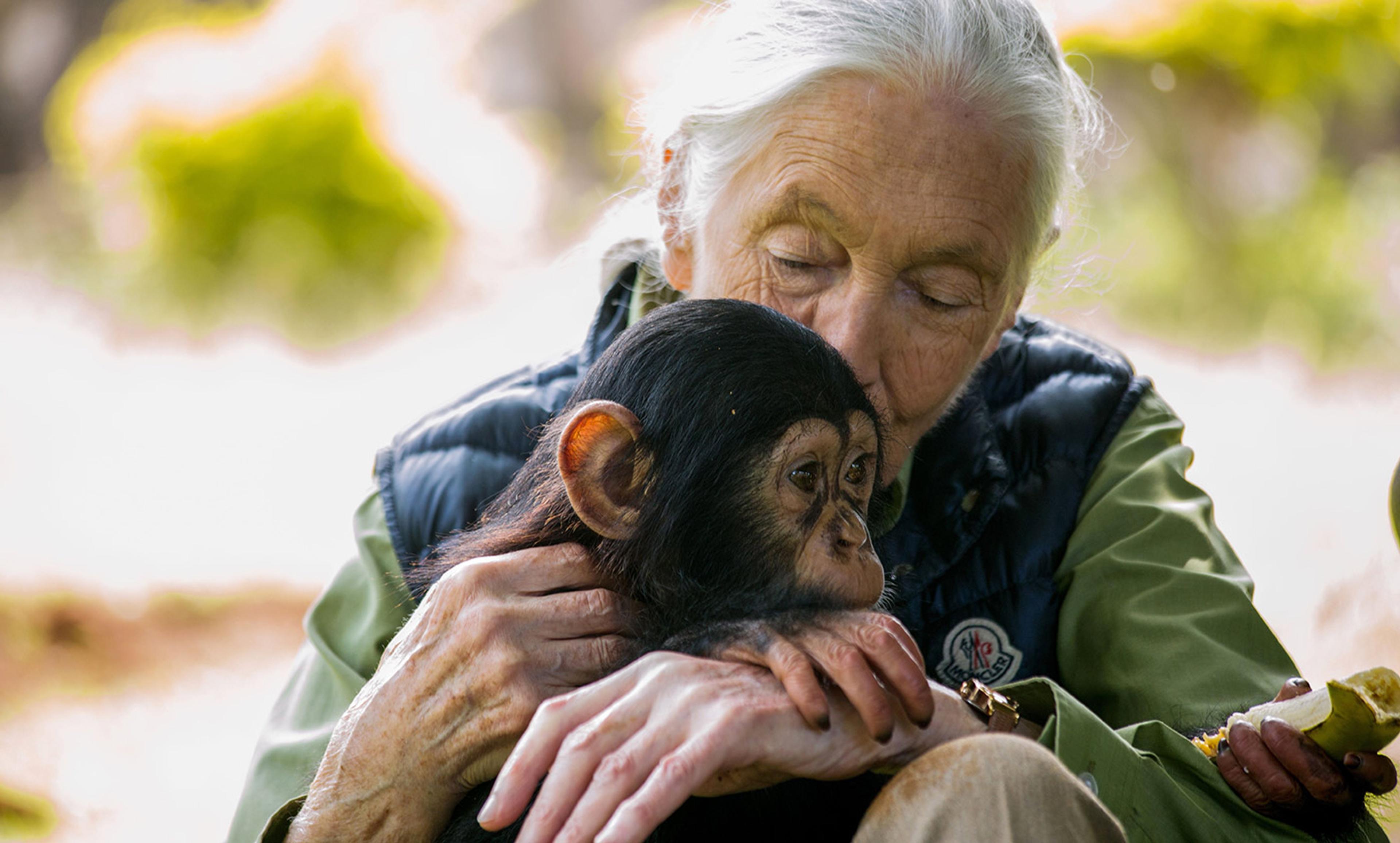 <p>British primatologist Jane Goodall. <em>Photo by Sumy Sadurni/AFP/Getty</em></p>