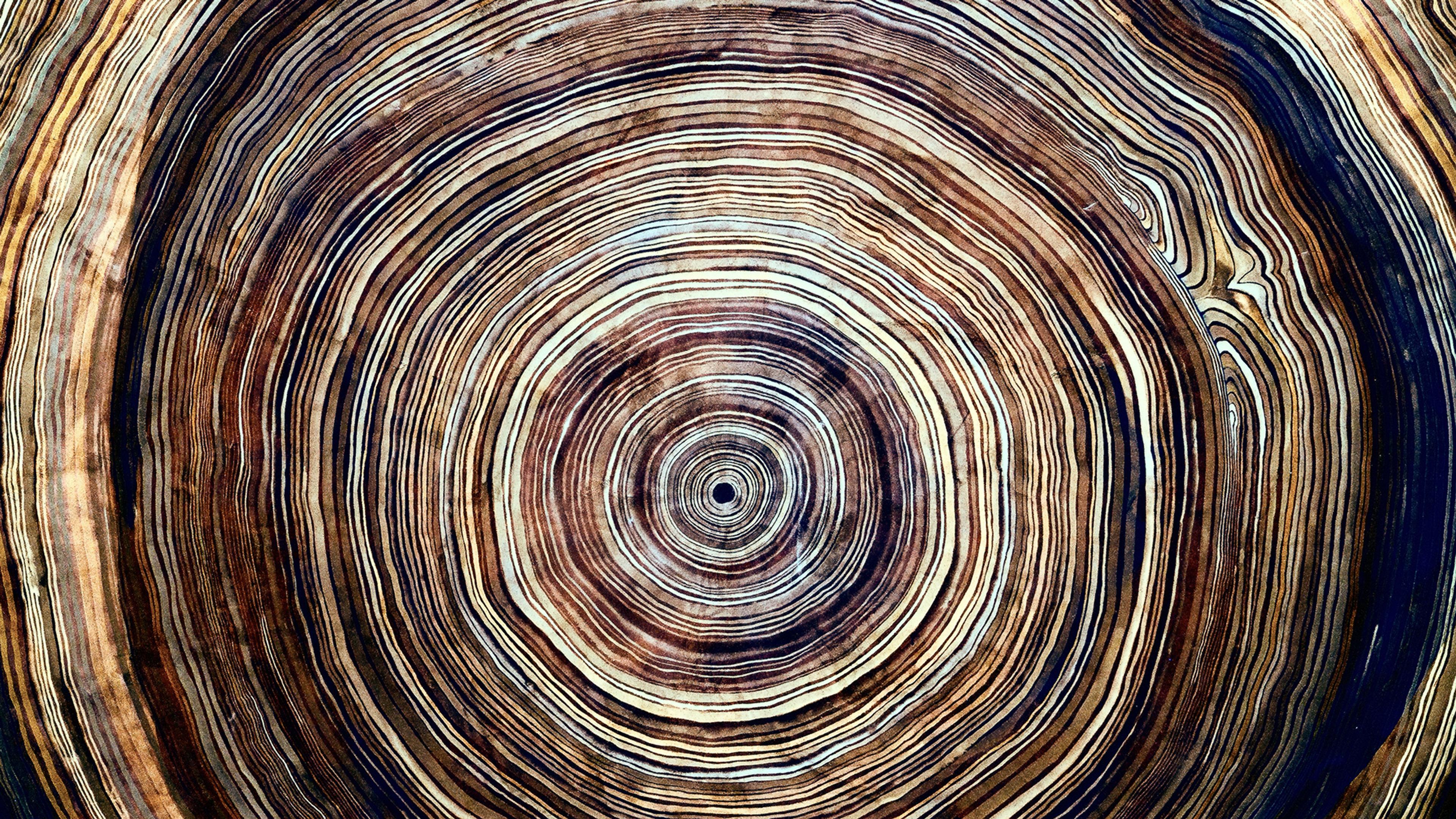 Close-up photo of tree rings showing concentric circles in varying shades of brown and beige.