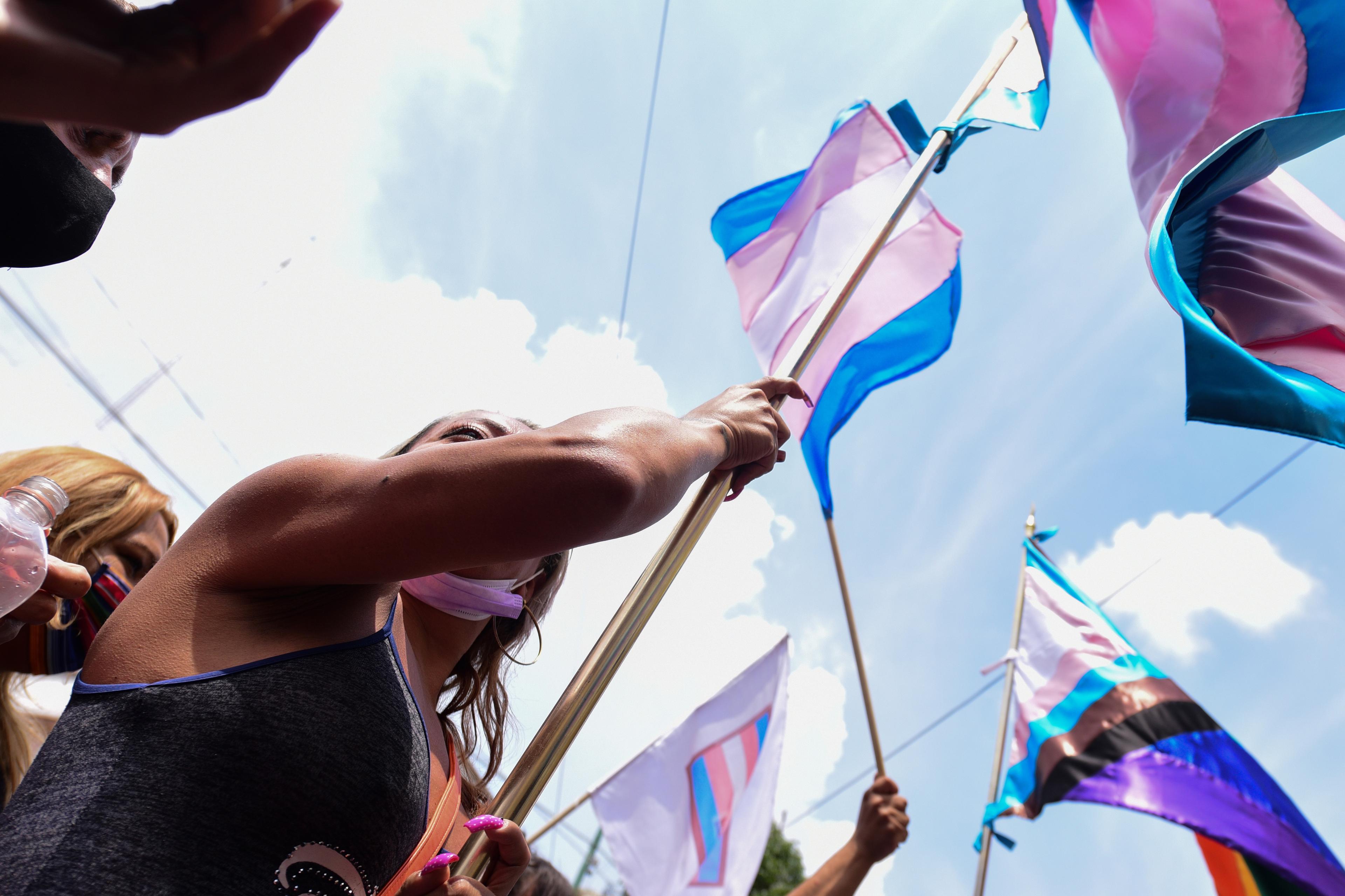 Photo of people holding transgender pride flags against a blue sky, focusing on a person raising a flag with determination.