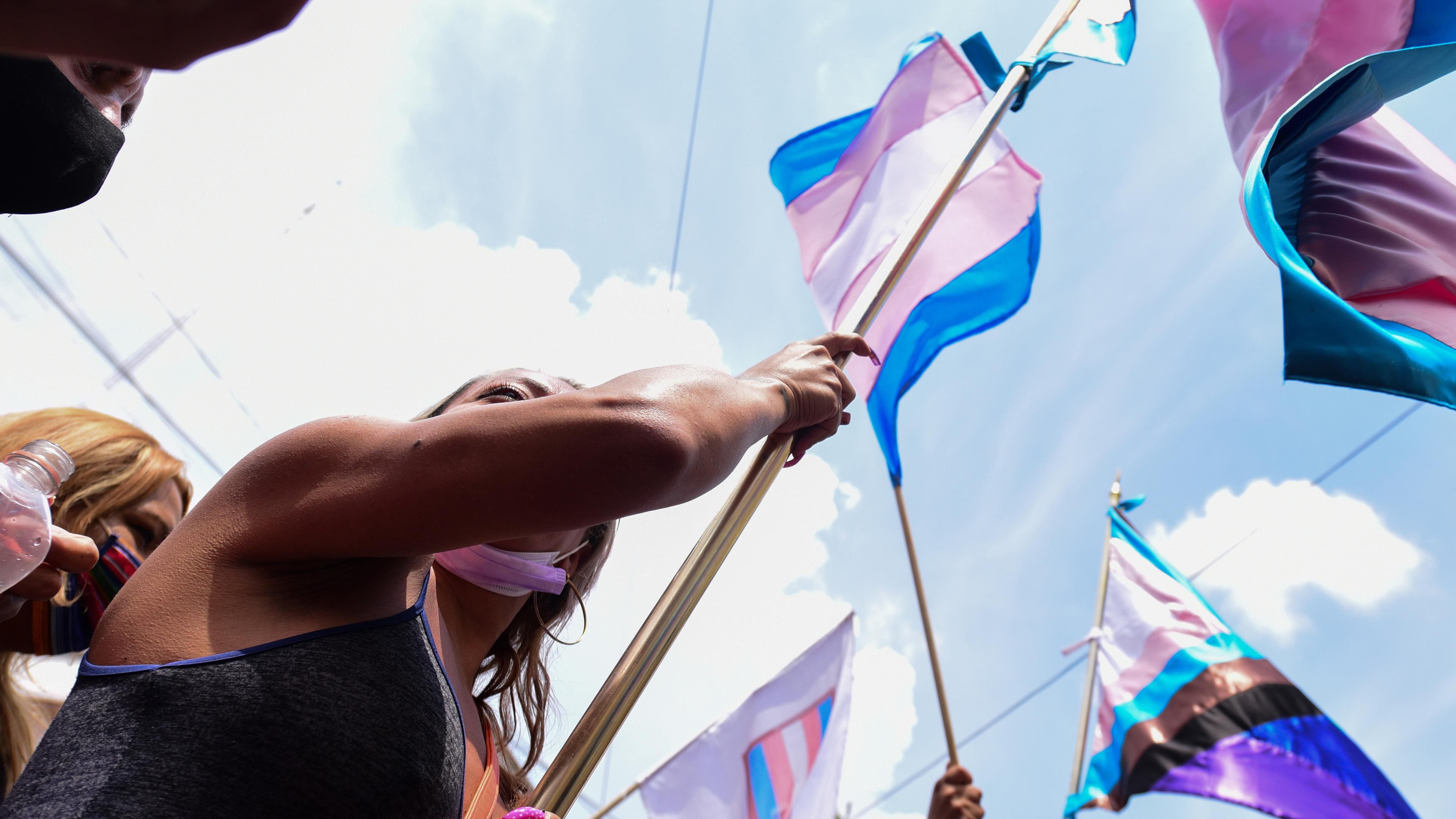 Photo of people holding transgender pride flags against a blue sky, focusing on a person raising a flag with determination.