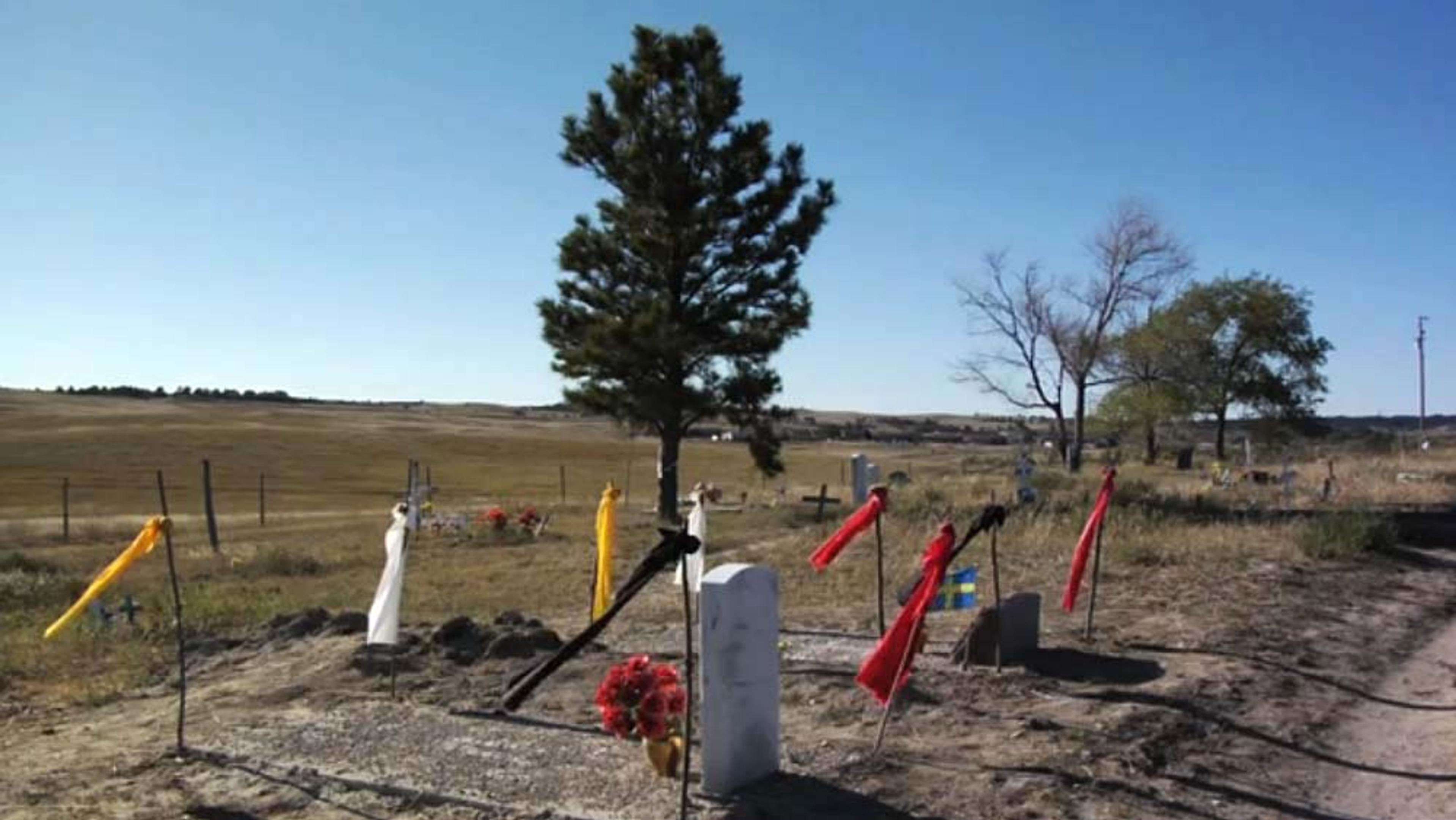 A rural cemetery. Gravestones are marked with colourful ribbons. A lone pine tree stands among scattered tombstones.