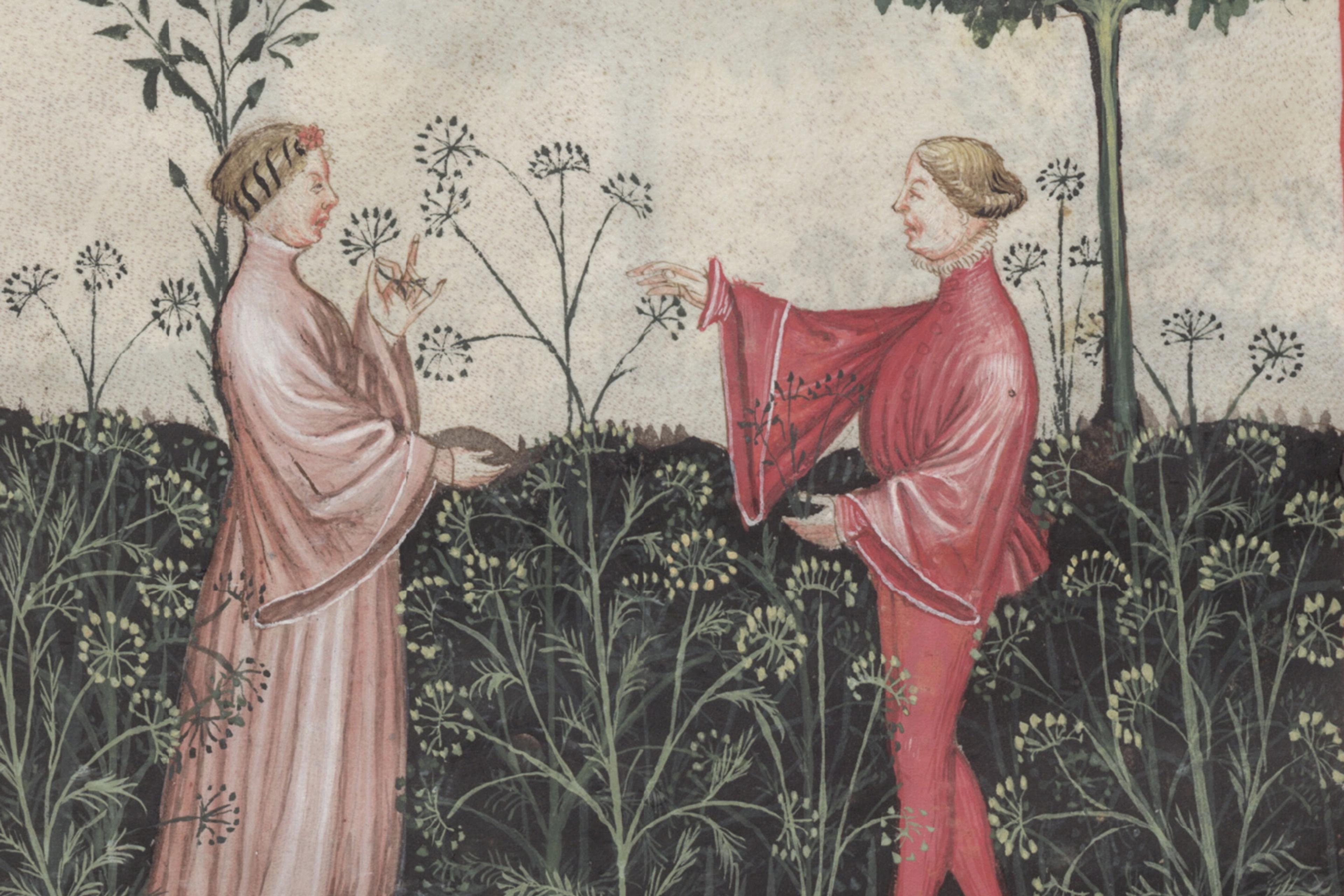 Medieval painting of two figures in a garden, one in pink and the other in red, surrounded by plants and a tree.