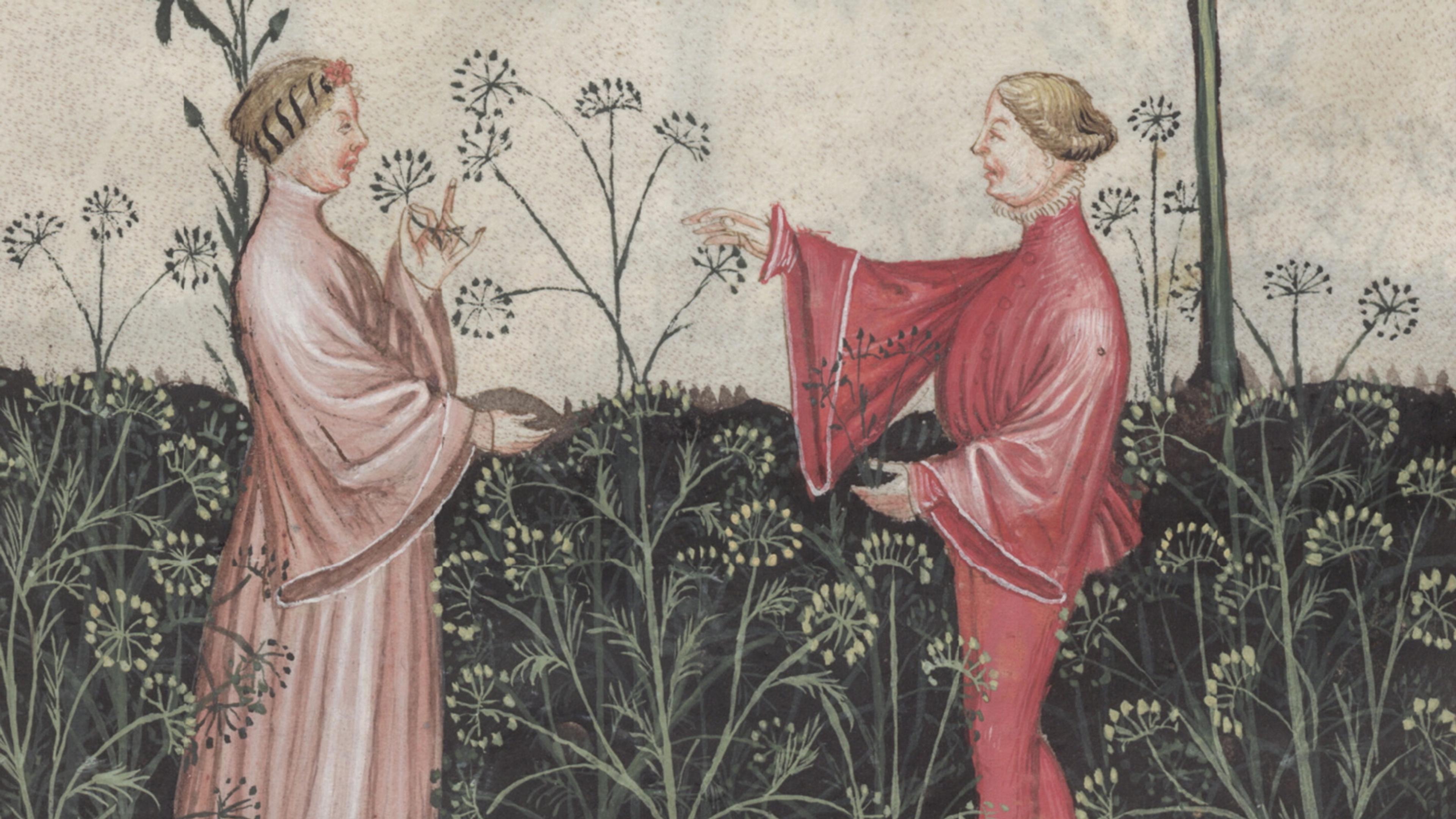 Medieval painting of two figures in a garden, one in pink and the other in red, surrounded by plants and a tree.