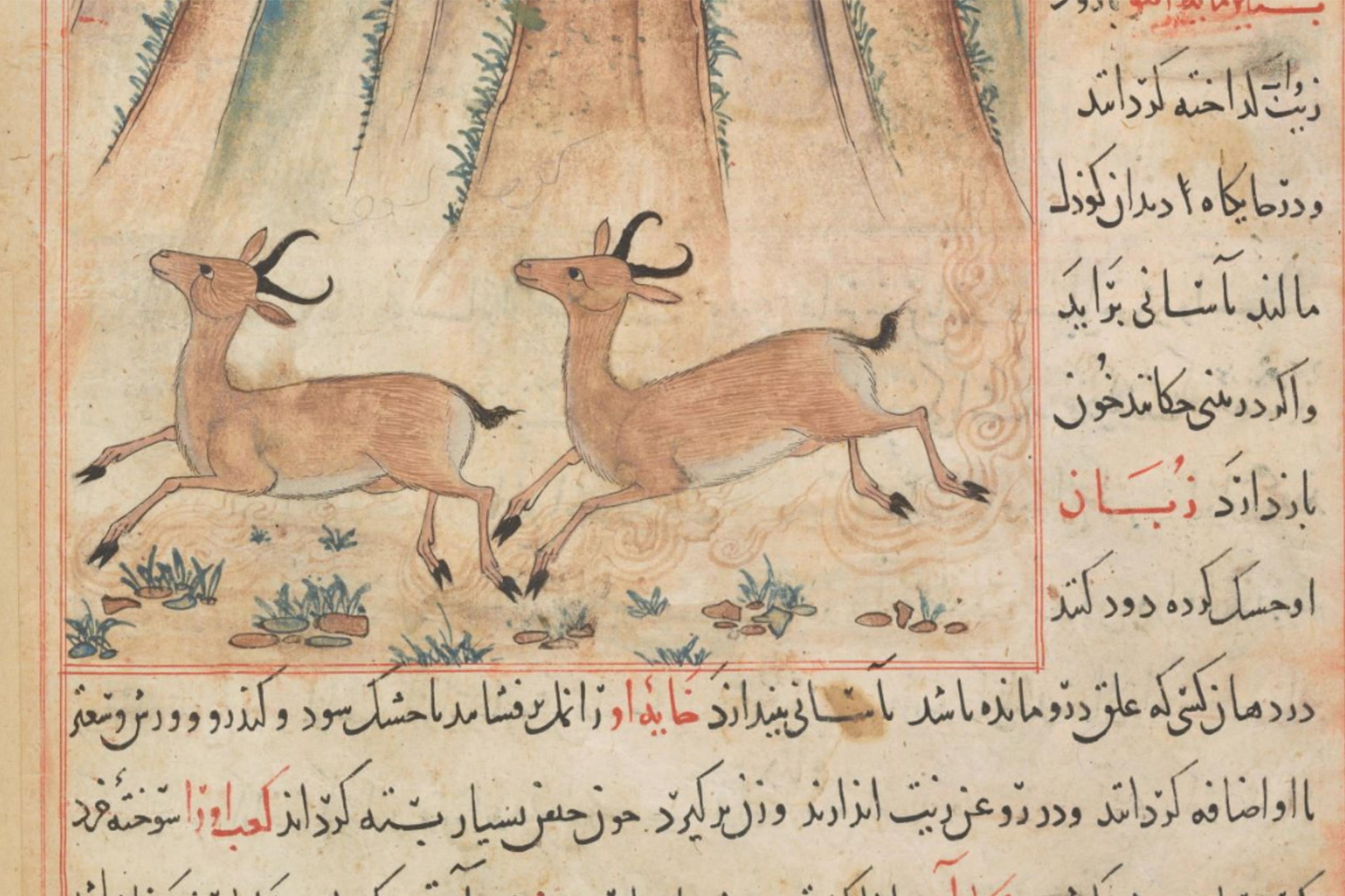 Illustration of two deer running in a forest with Arabic script on the side and bottom, from a historical manuscript.