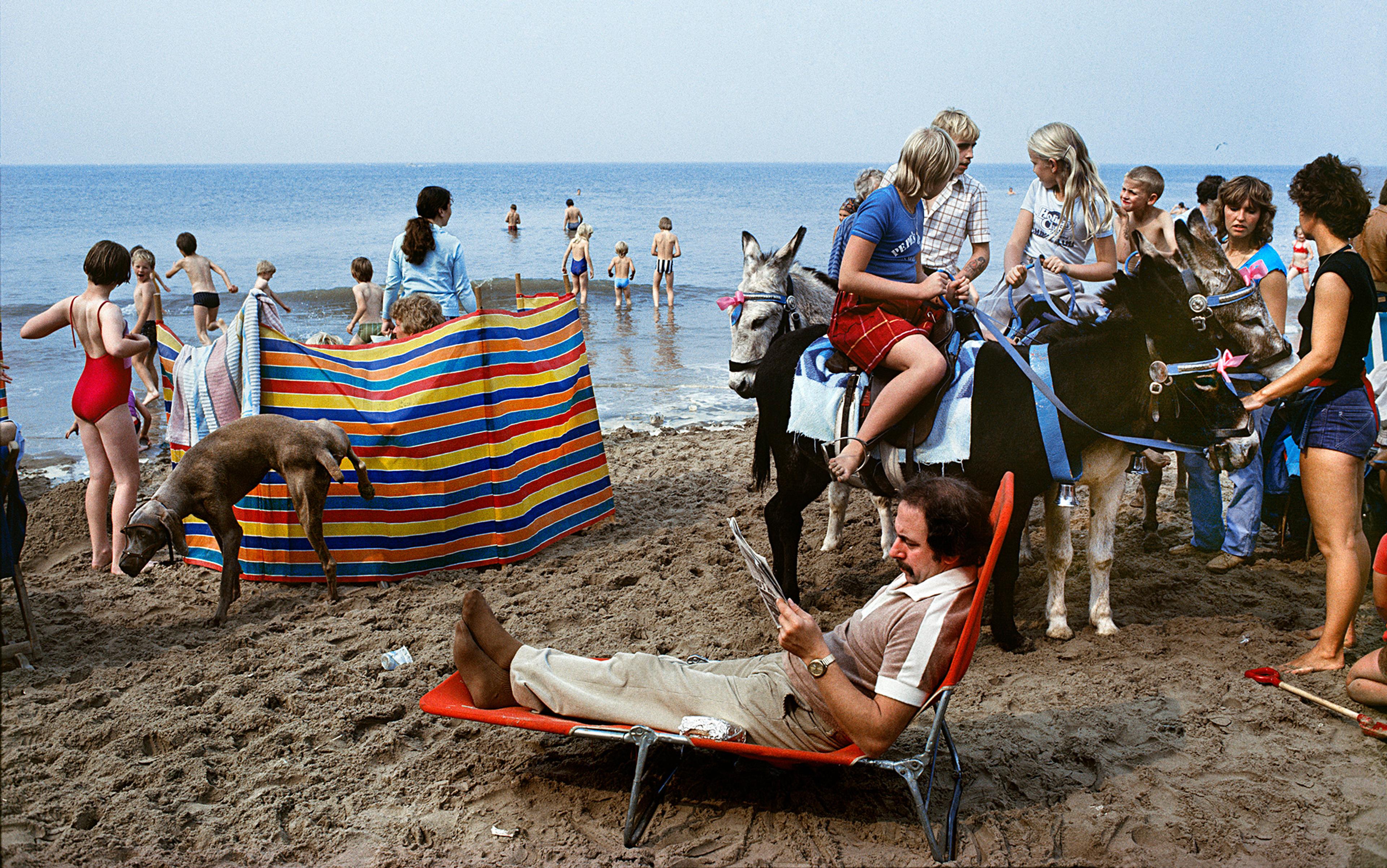 A busy beach scene with children on donkeys, people in the sea, a man reading on a sun lounger, and a dog urinating on a sun shade.