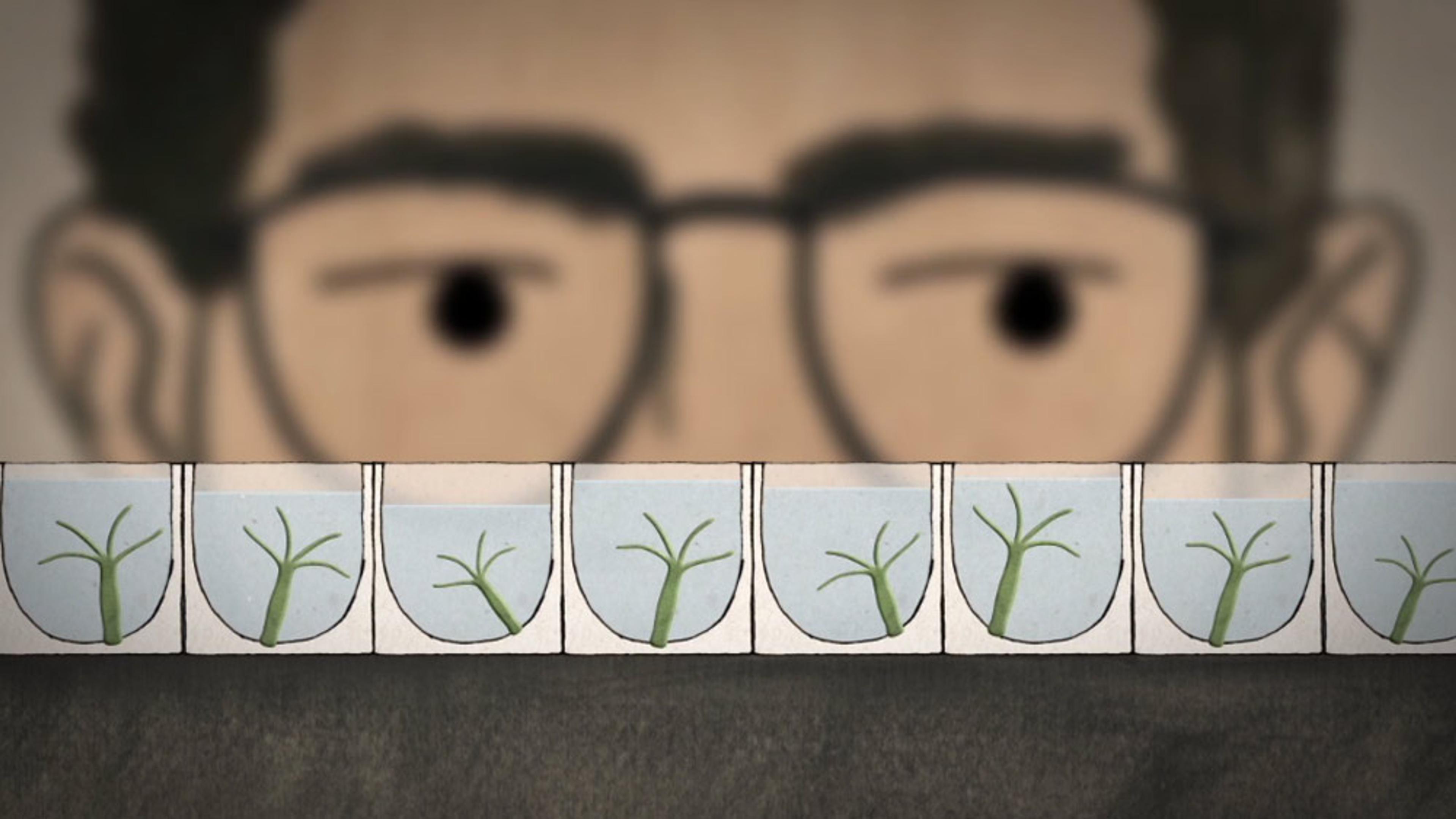 Illustration of a person with glasses observing a row of small plants in water-filled containers.