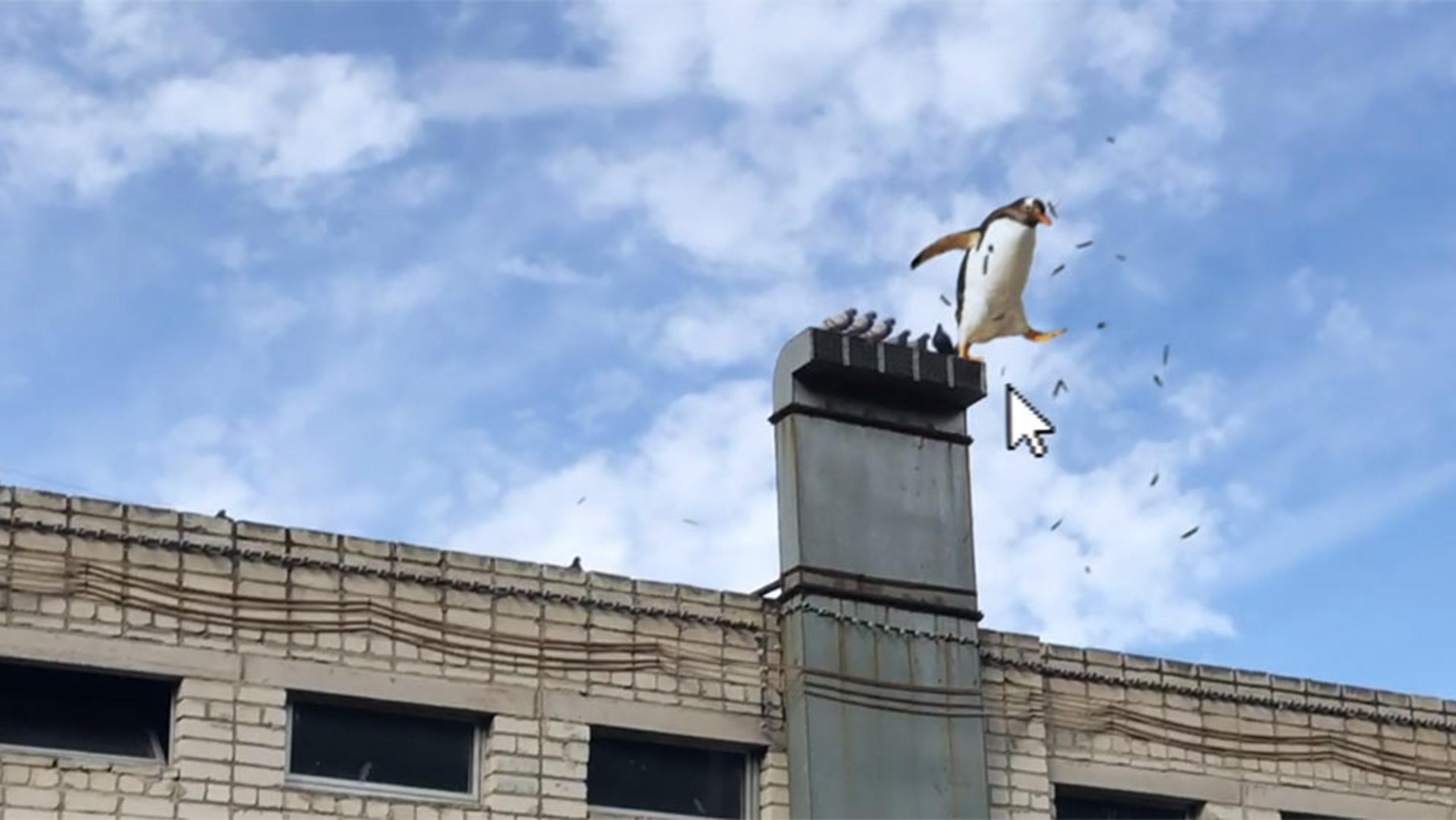 A penguin standing on a chimney with pigeons nearby on a brick building, beneath a partly cloudy sky.