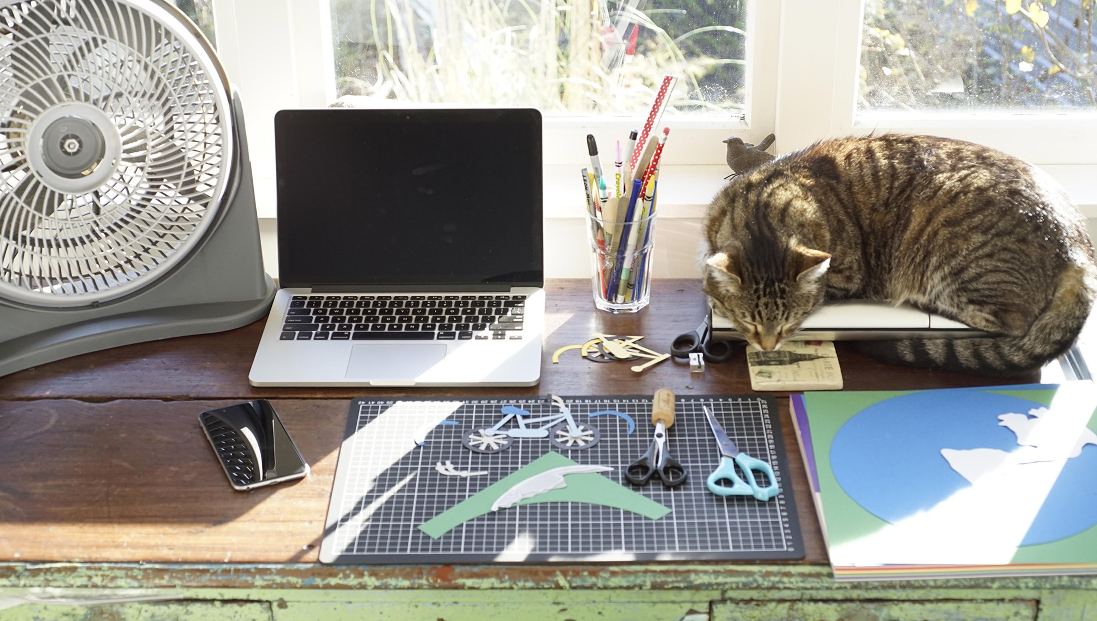 A tabby cat sleeps upon a home office desk next to a laptop and various desk items
