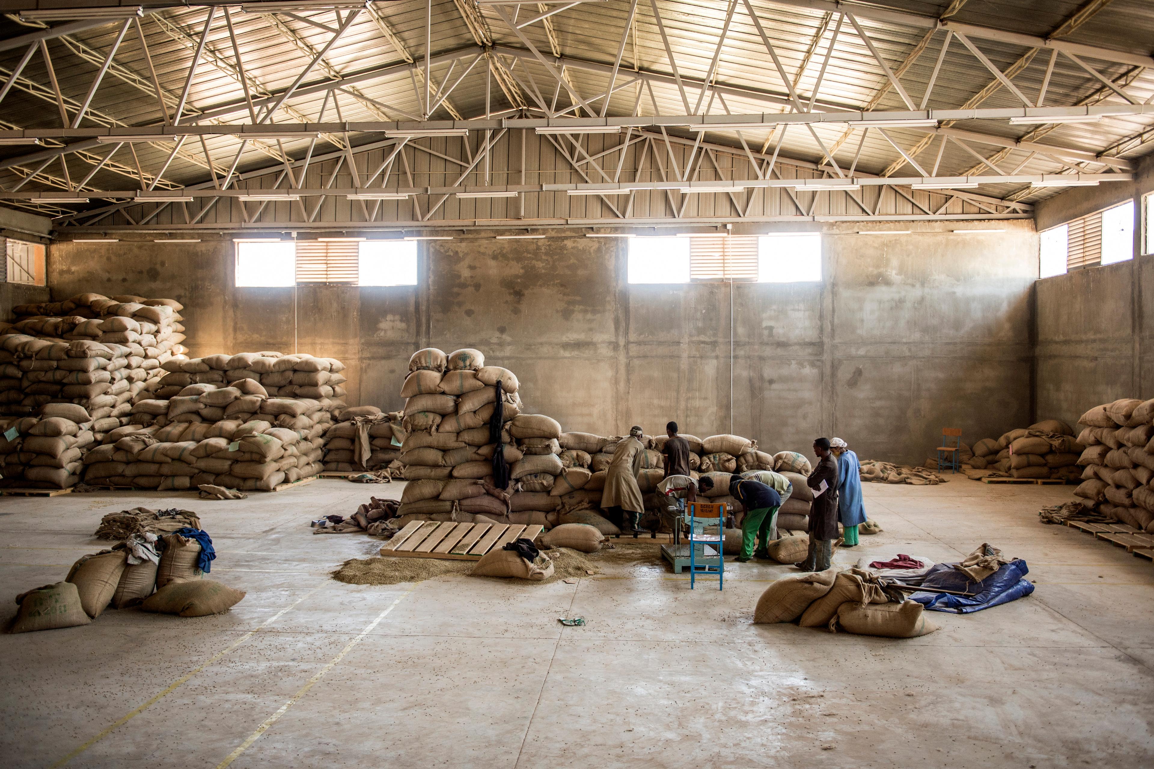 Photo of a warehouse interior with workers sorting large burlap sacks of goods on the floor and pallets.