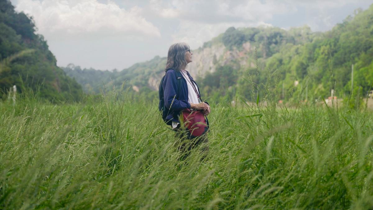 Photo of a person in a field of tall grass looking at a forested hill under a partly cloudy sky.