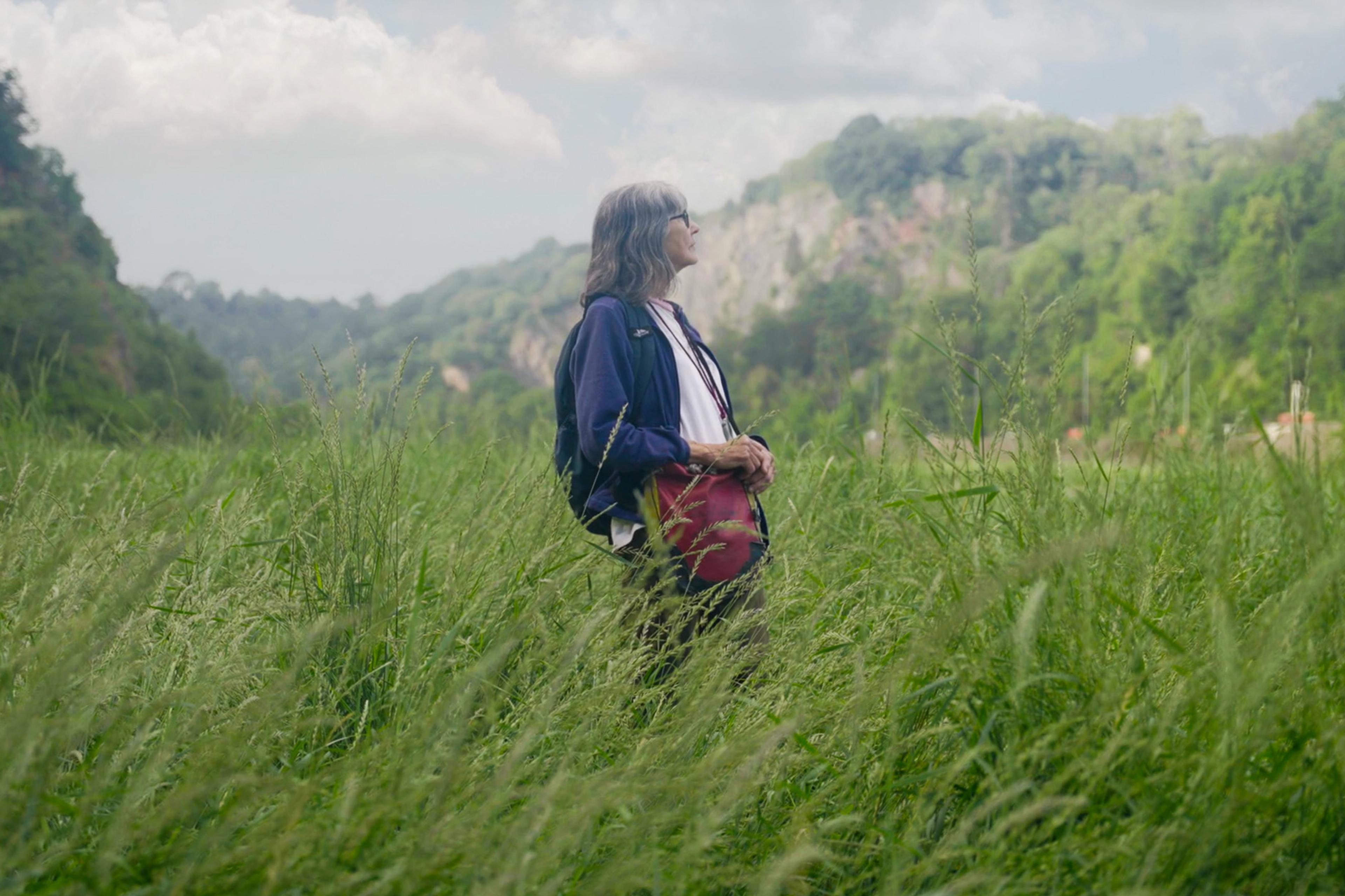 Photo of a person in a field of tall grass looking at a forested hill under a partly cloudy sky.