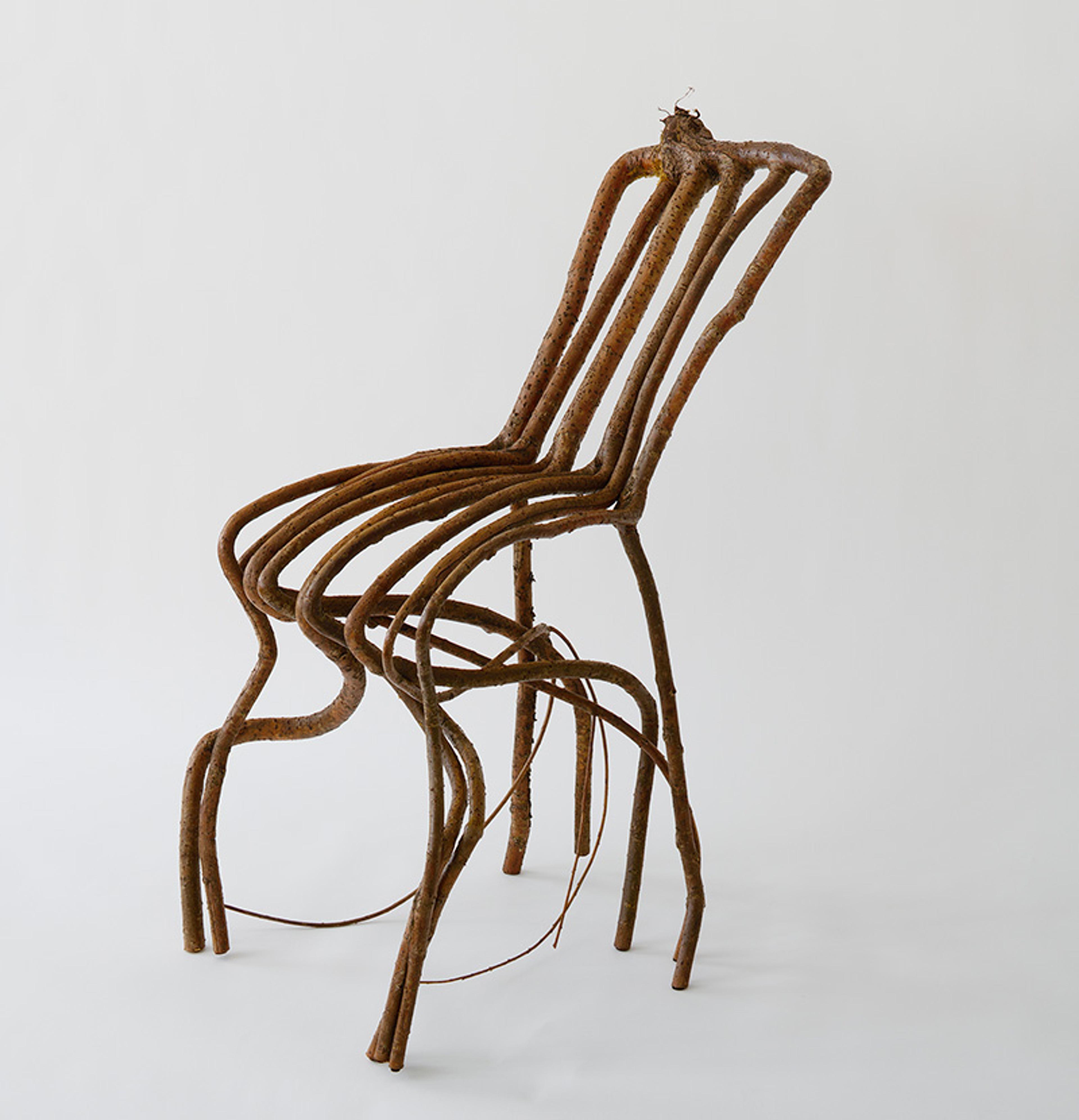 A chair made of intertwined and shaped tree branches with a minimalist design against a plain light background.