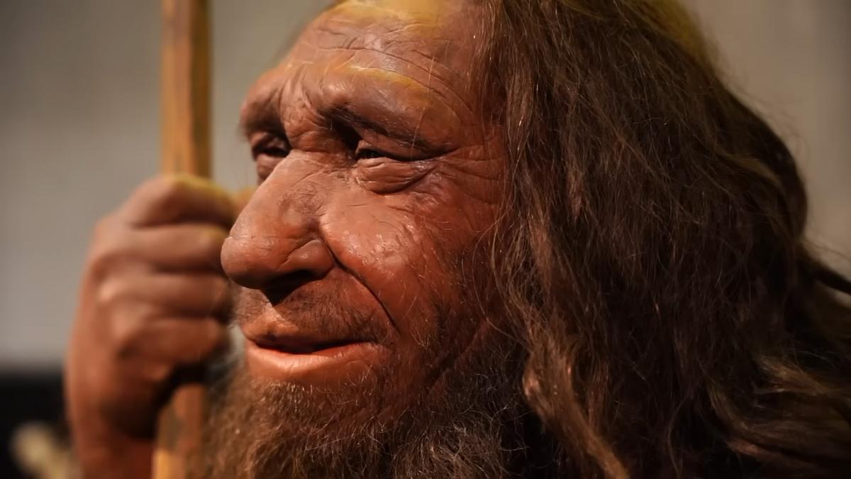 The story of the 16 bones that upended how we see our species