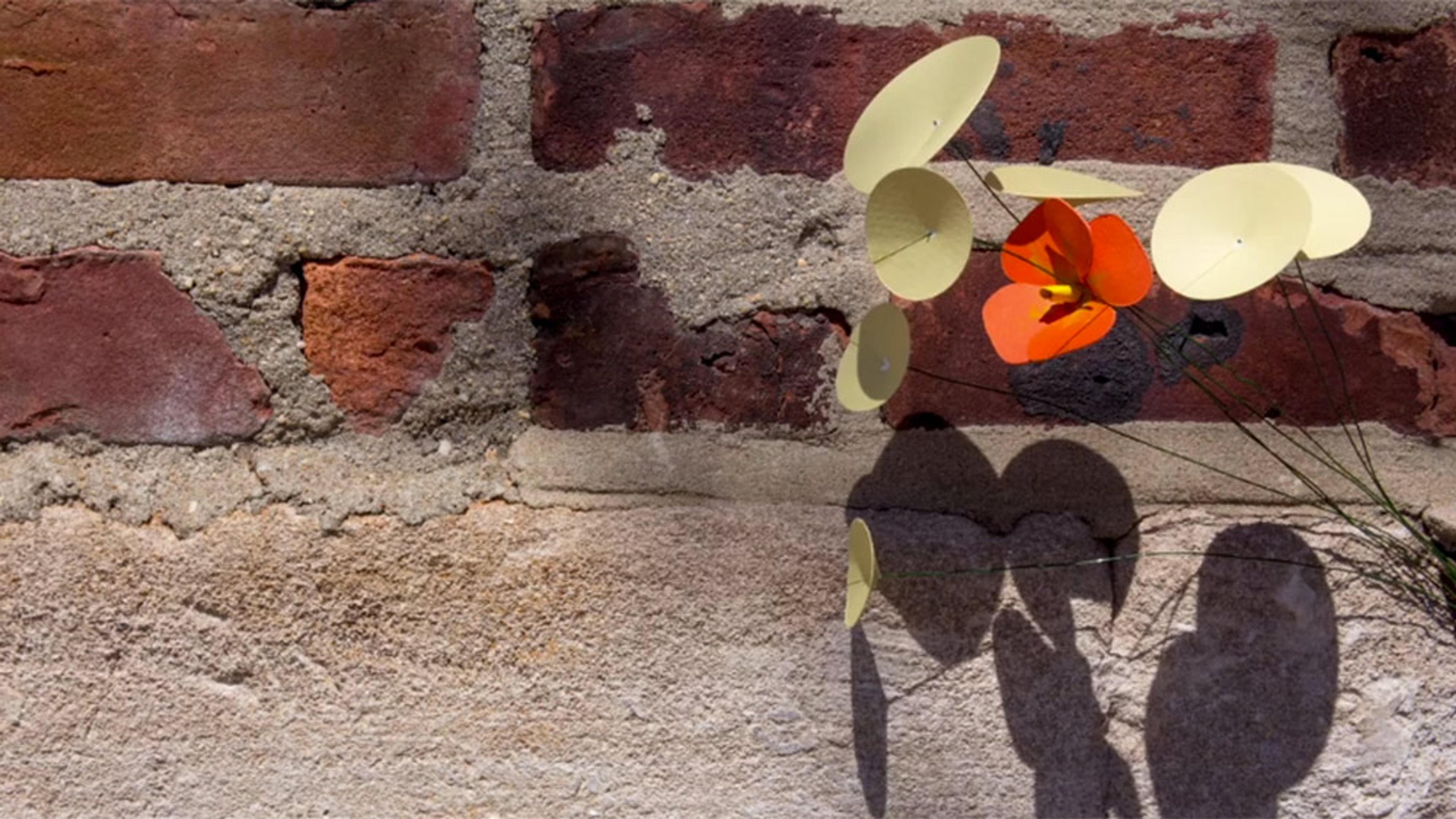 A brick and concrete wall with shadows on it cast by flowers, featuring yellow and orange flowers in focus.
