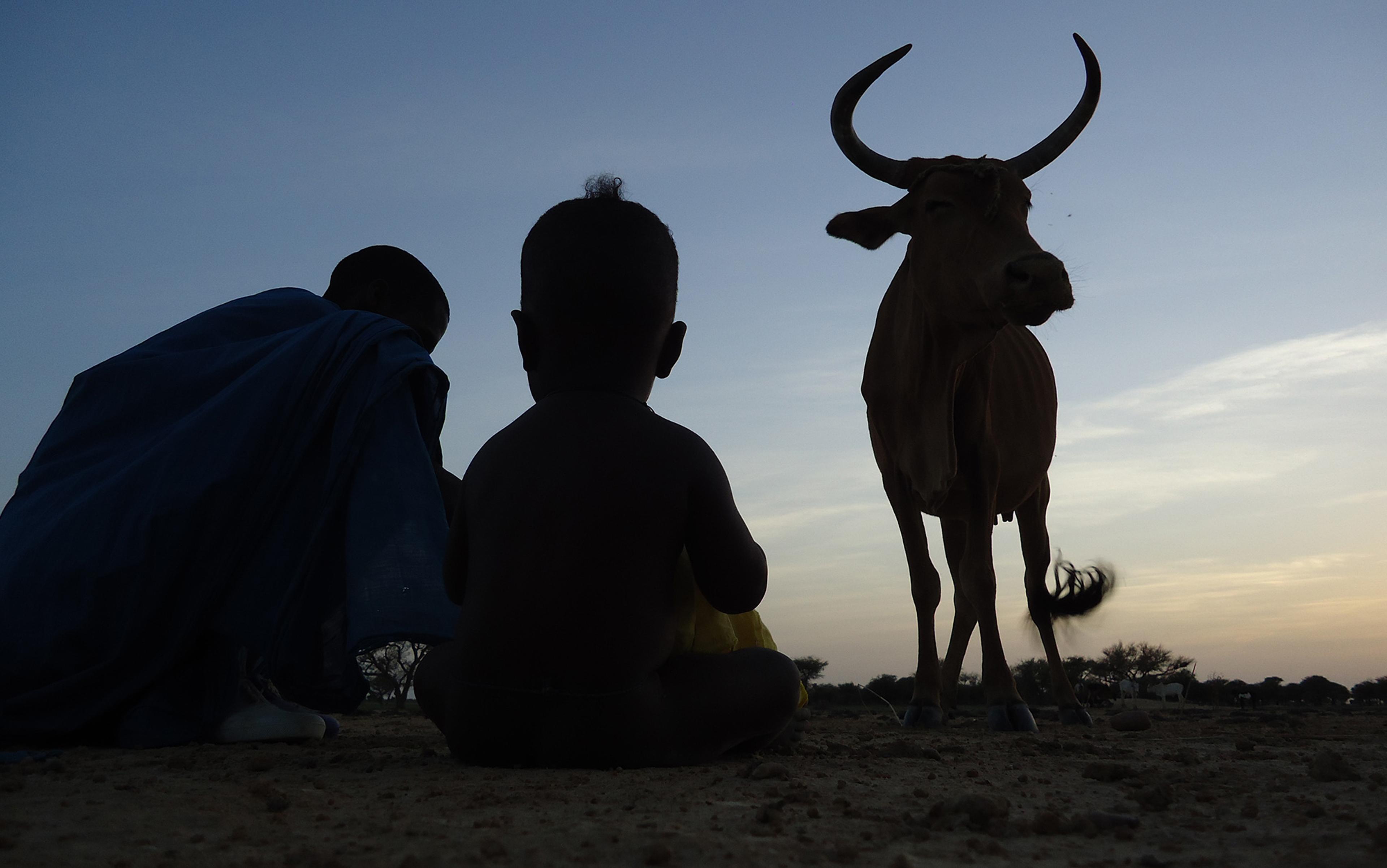 Silhouette of a man, a child, and a cow with large horns sitting on the ground at sunset.