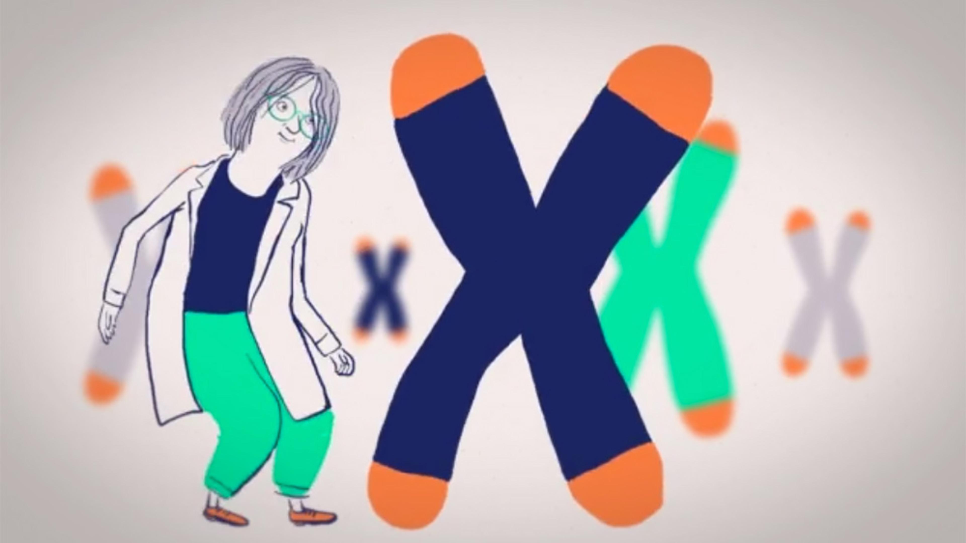 Illustration of a woman with glasses, white coat and green trousers standing beside large cartoon X chromosomes.