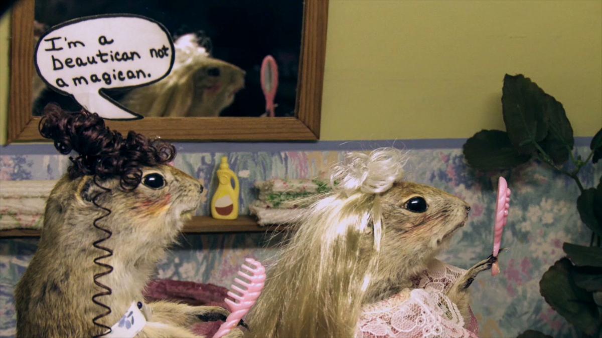The World Famous Gopher Hole Museum