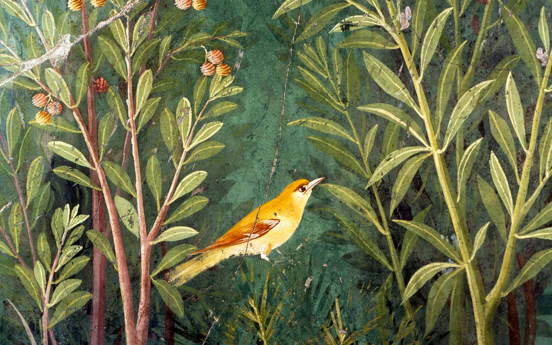 The ancient world teemed with birds; now we think with them | Aeon Essays