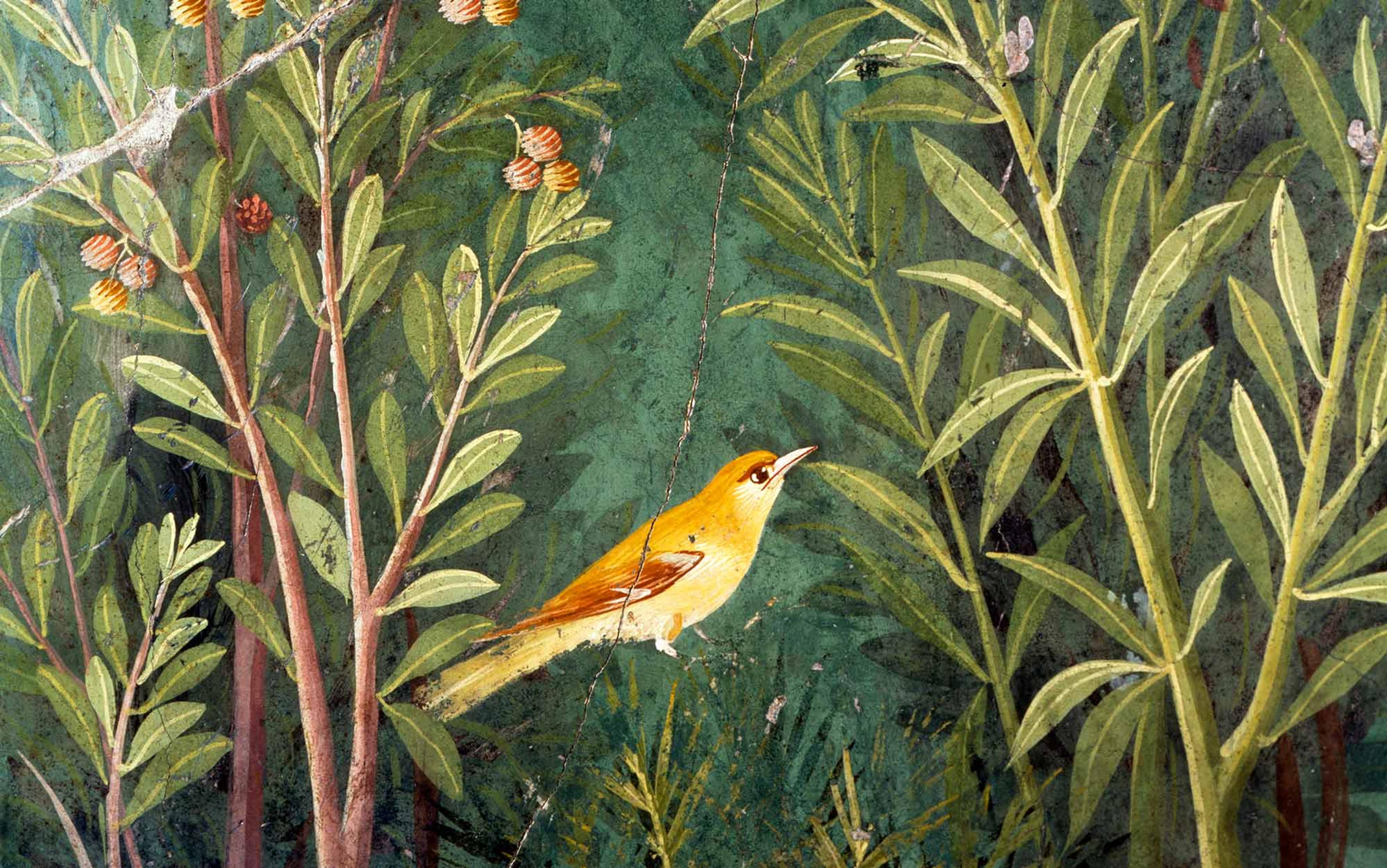 bird-singing - David Servant