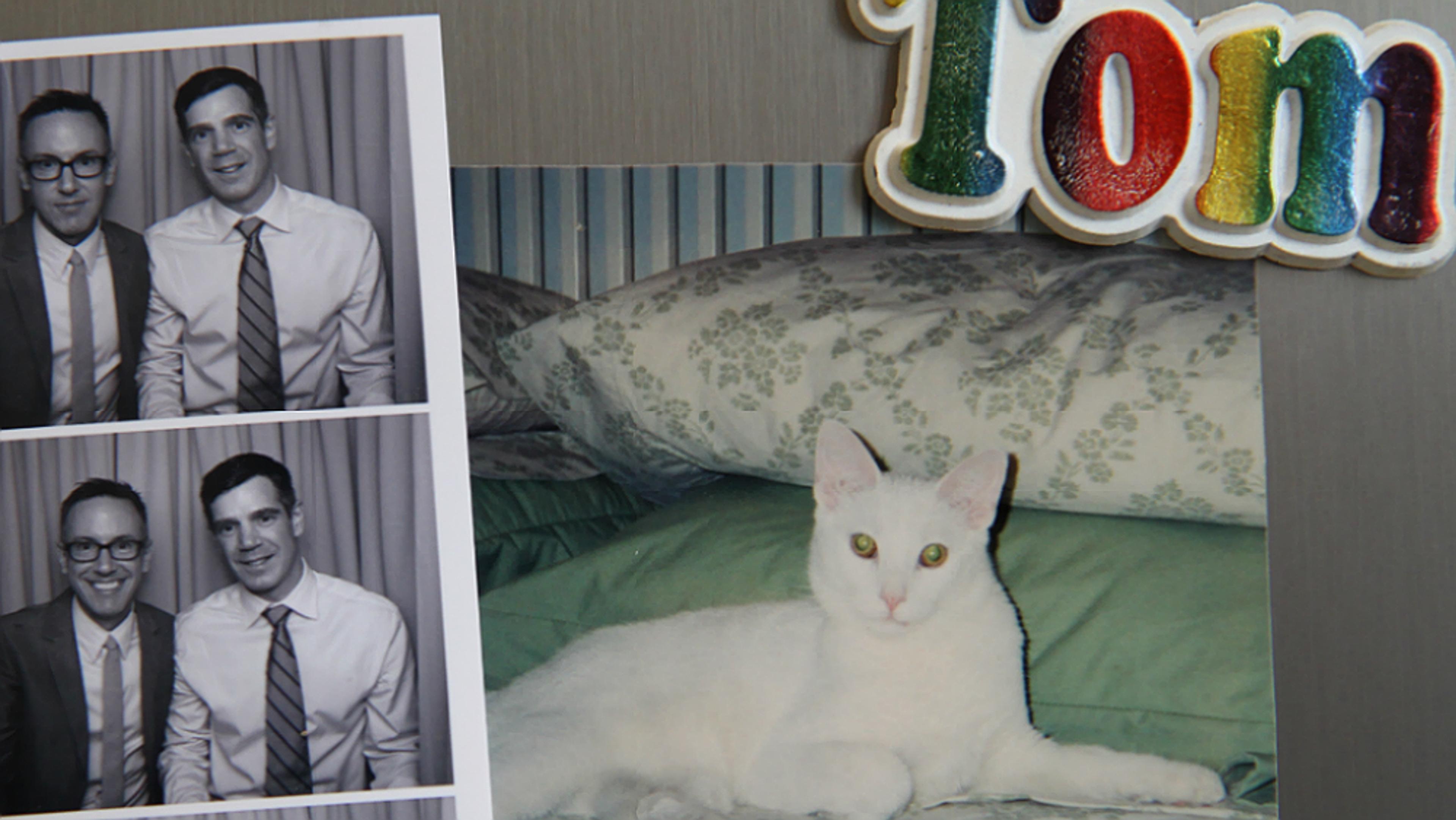 A photo collage on a fridge with two men in photobooth strips, a picture of a white cat on a bed, and a colourful “Tom” magnet.