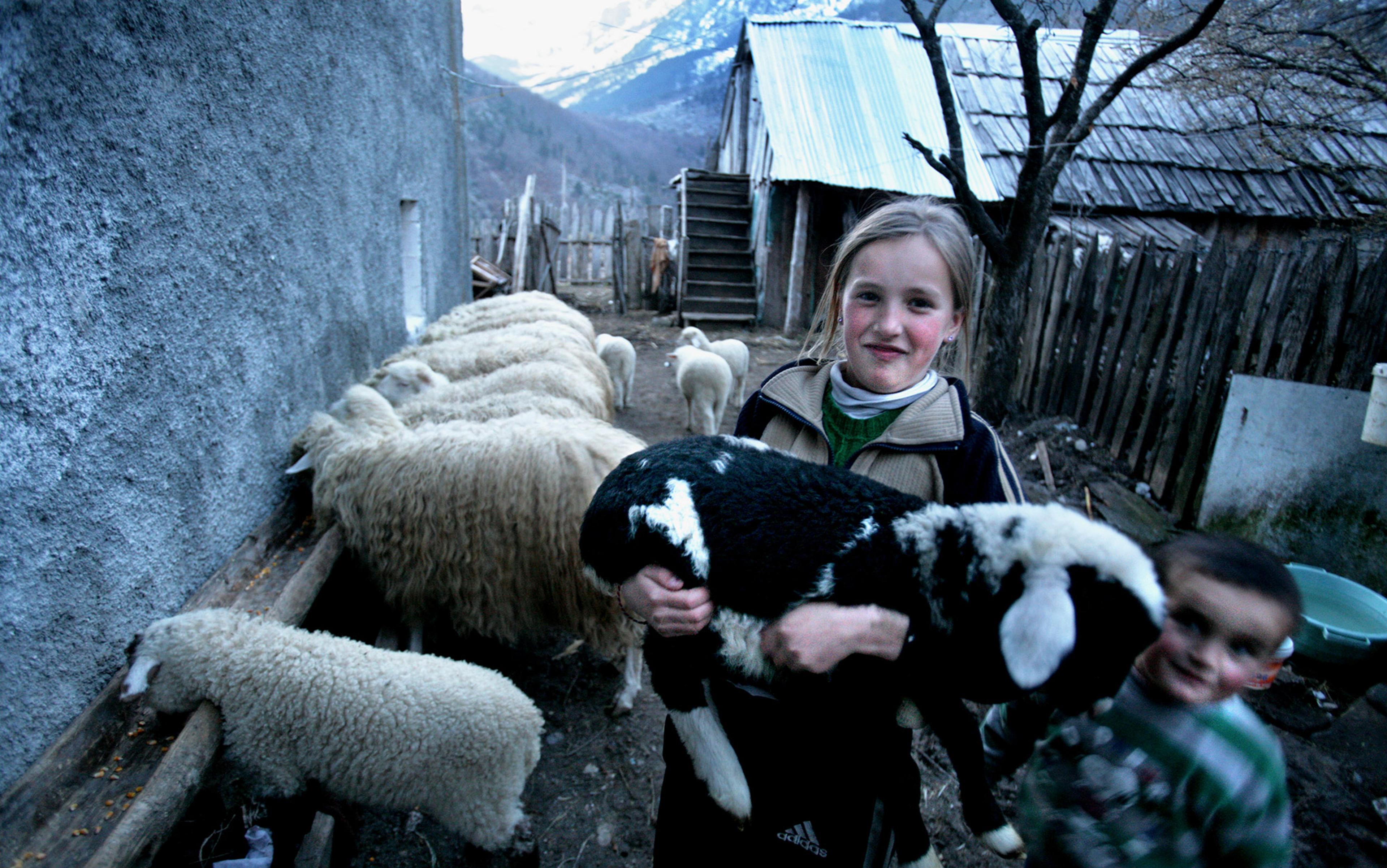 A smiling girl holding a lamb next to a boy. Several sheep are in a fenced area with a wooden building and mountains in the background.
