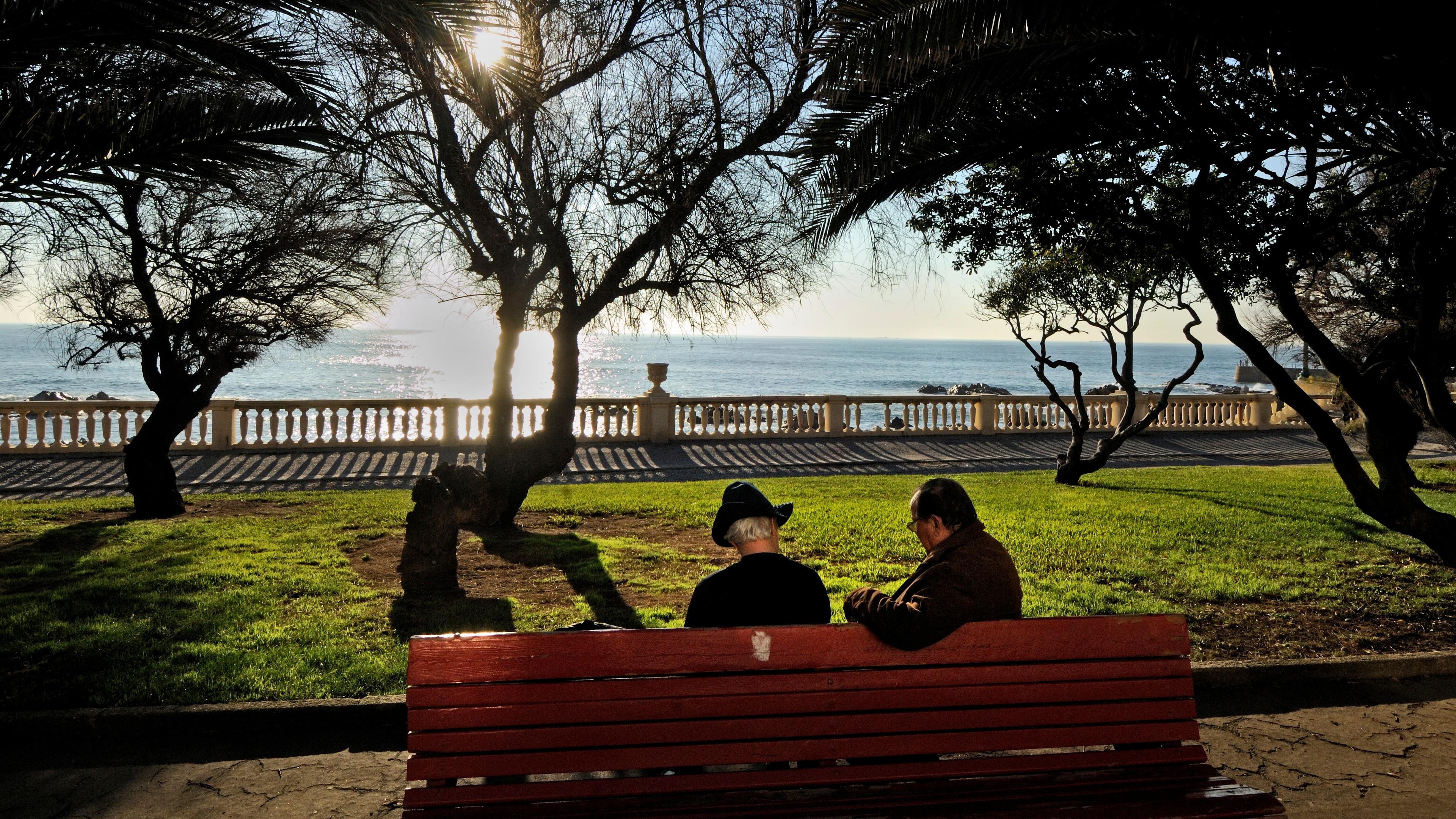 Photo of two people on a bench overlooking a sunny seaside with trees casting shadows on grass and a stone balustrade.