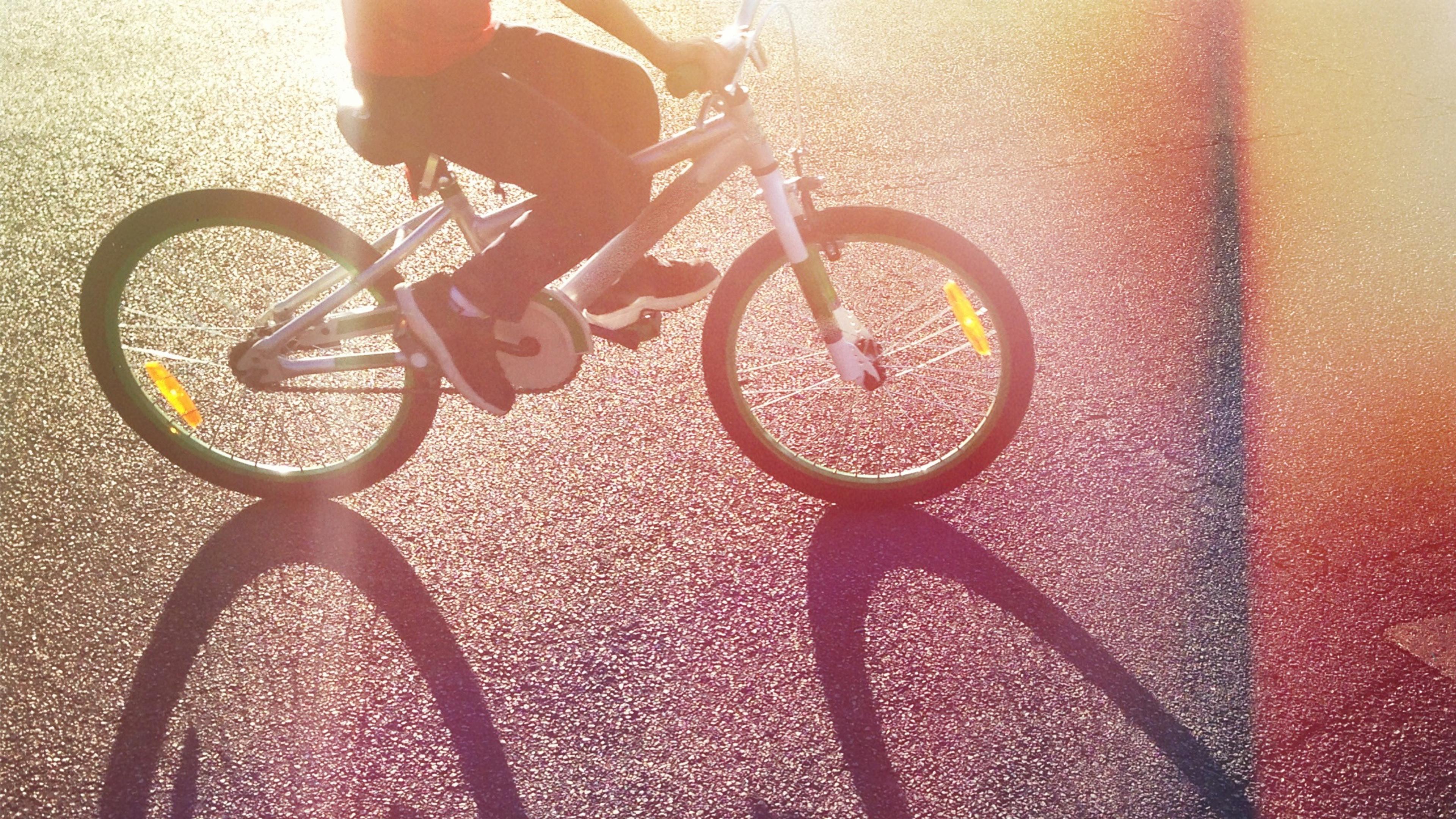 Photo of a cyclist casting dramatic shadows on sunlit pavement, with warm light flares creating a dreamy effect.