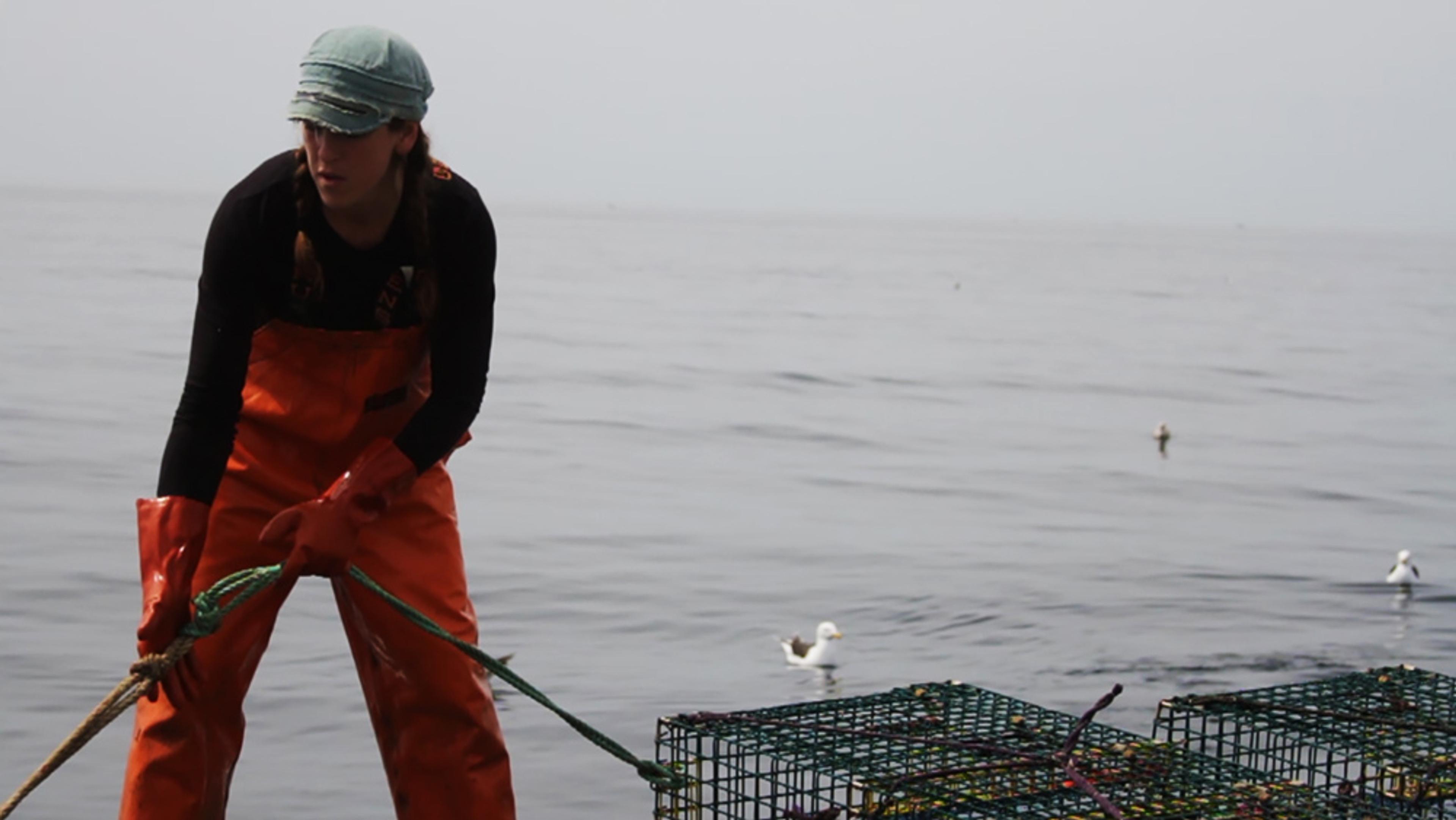 A person in orange fishing overalls and a blue hat pulling a rope on a boat with seagulls and calm sea in the background, cages are visible on the deck of the boat.