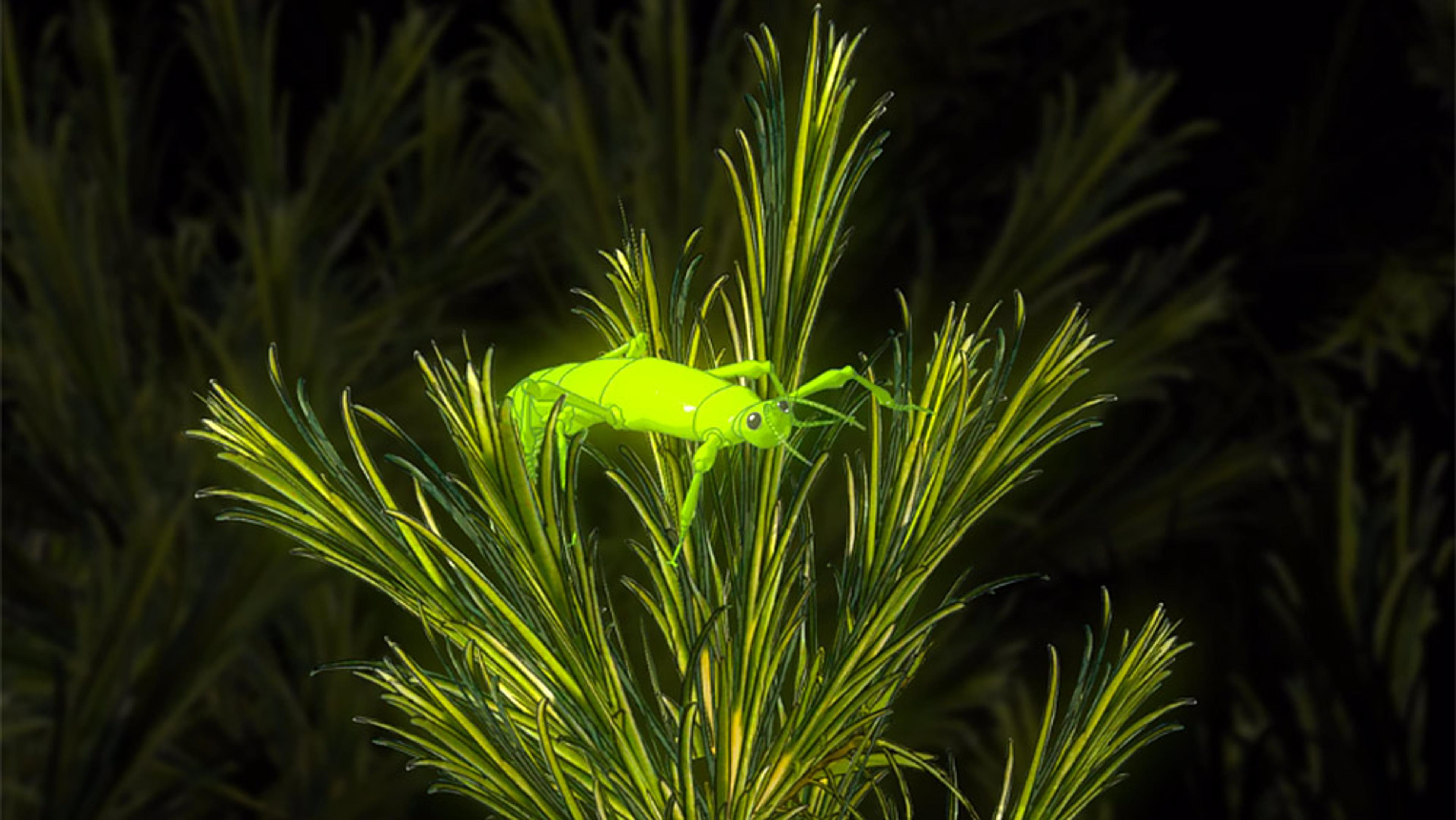 Digital illustration of a neon green insect perched on bright green foliage against a dark background.