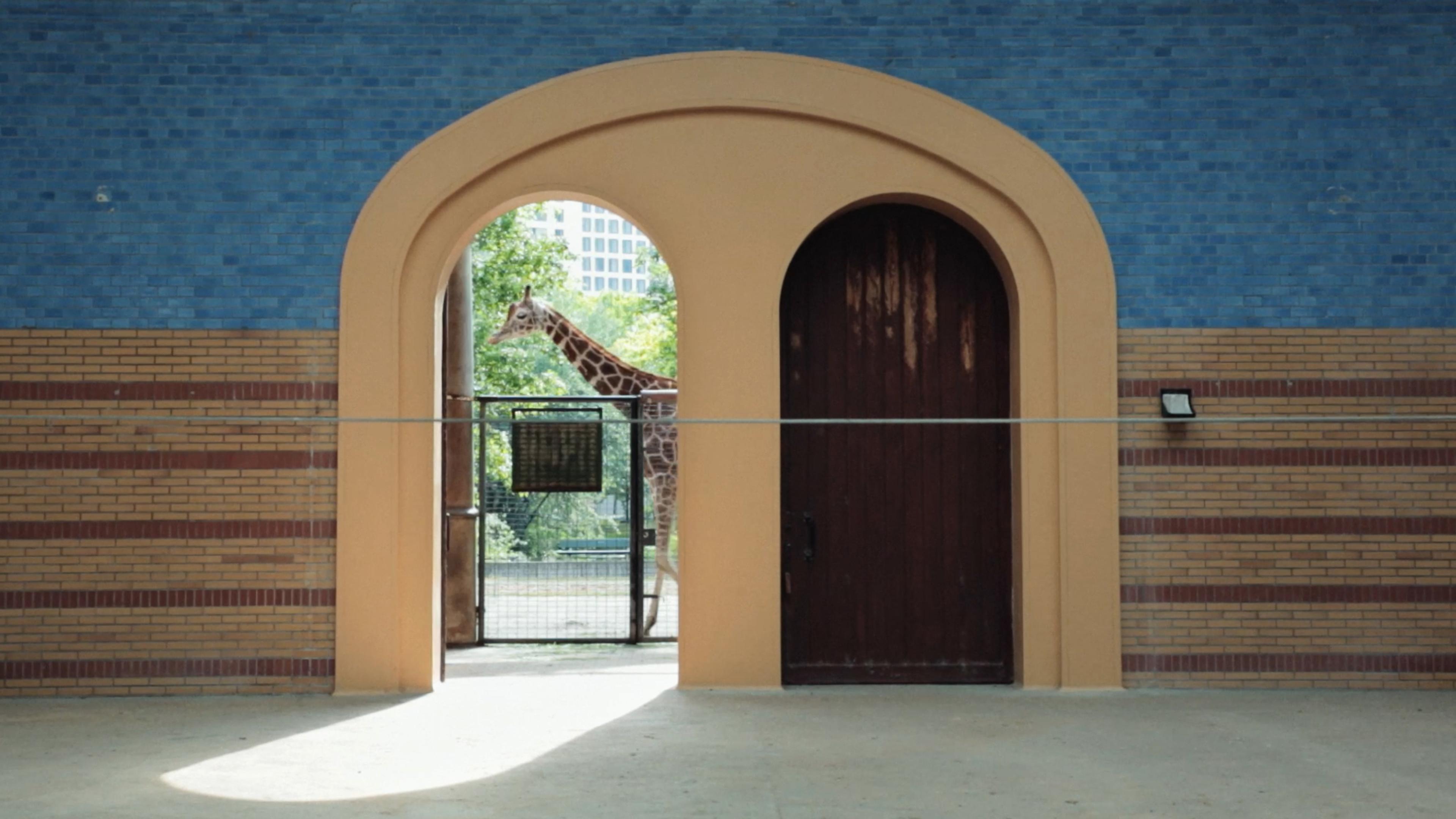 Photo of a giraffe seen through an arched doorway with brick and blue tiled walls in a zoo environment.