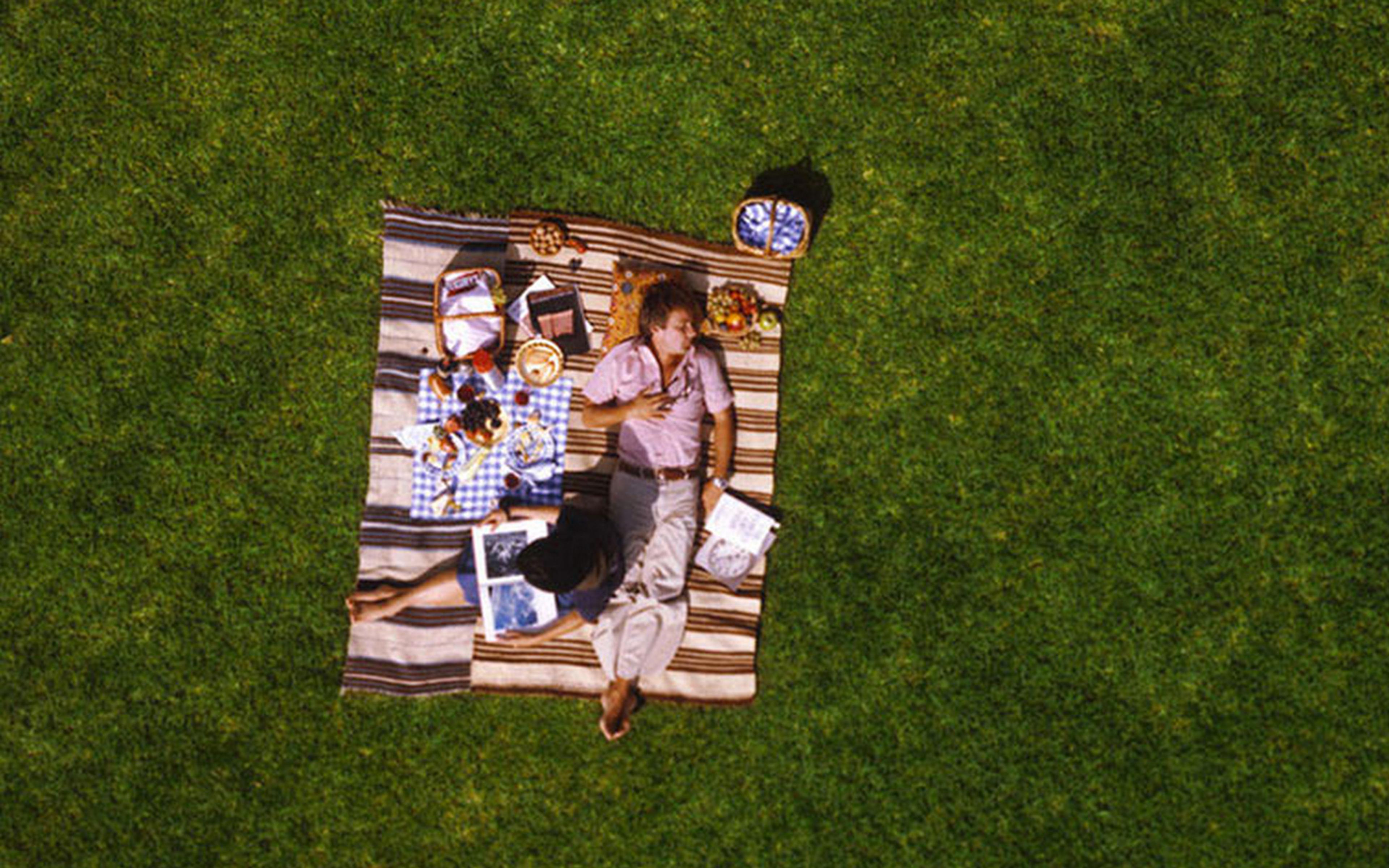 Aerial photo of a man in a pink lying on a picnic blanket next to a woman holding an open book, with picnic items in a grassy field .
