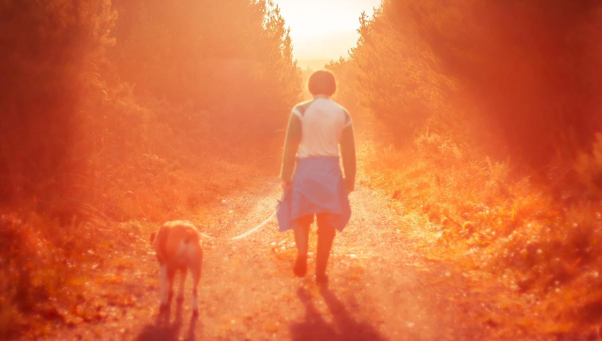 A person walking a dog along a tree-lined path during sunset, with a warm orange glow illuminating the scene. The person wears a white and green top with a blue jacket tied around their waist. The dog is walking slightly ahead on a leash.