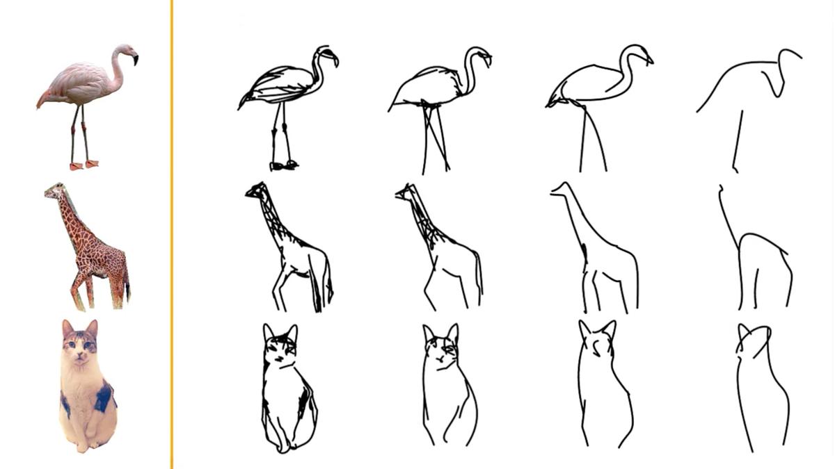Collage of animal photos with progressively simplified line drawings of a flamingo, giraffe and cat.