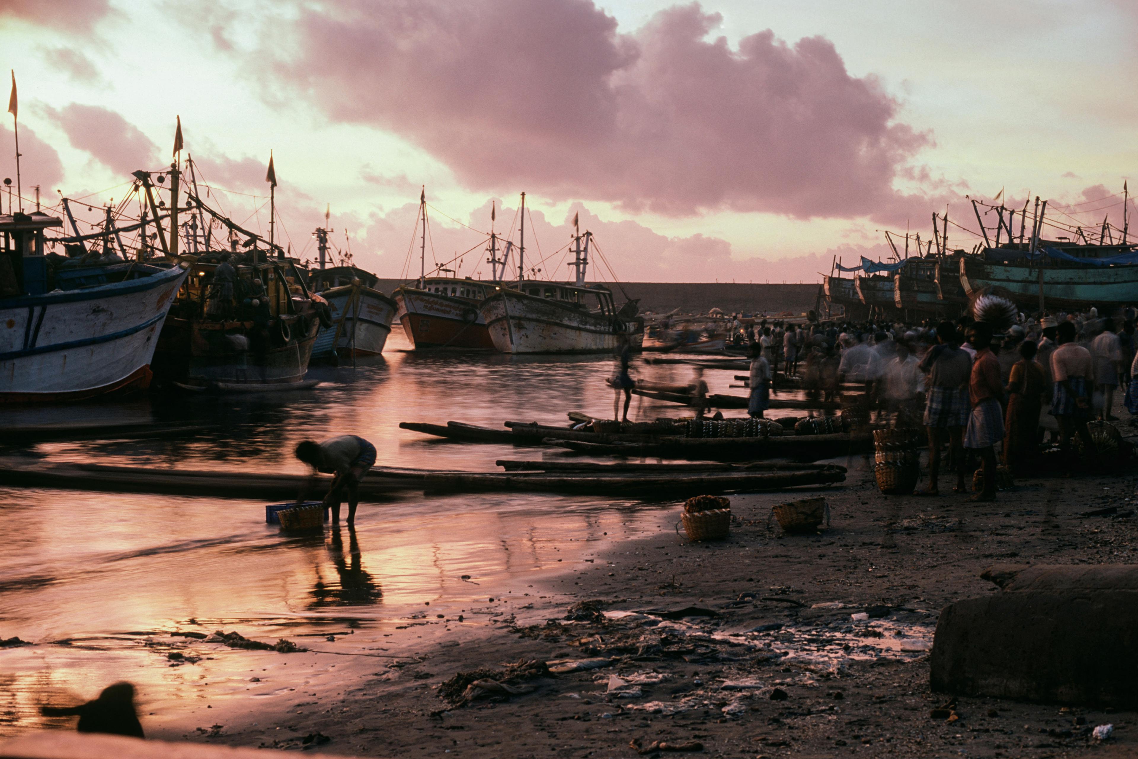 A busy harbour at sunrise with fishing boats docked, people working on the shore and pink clouds in the sky.