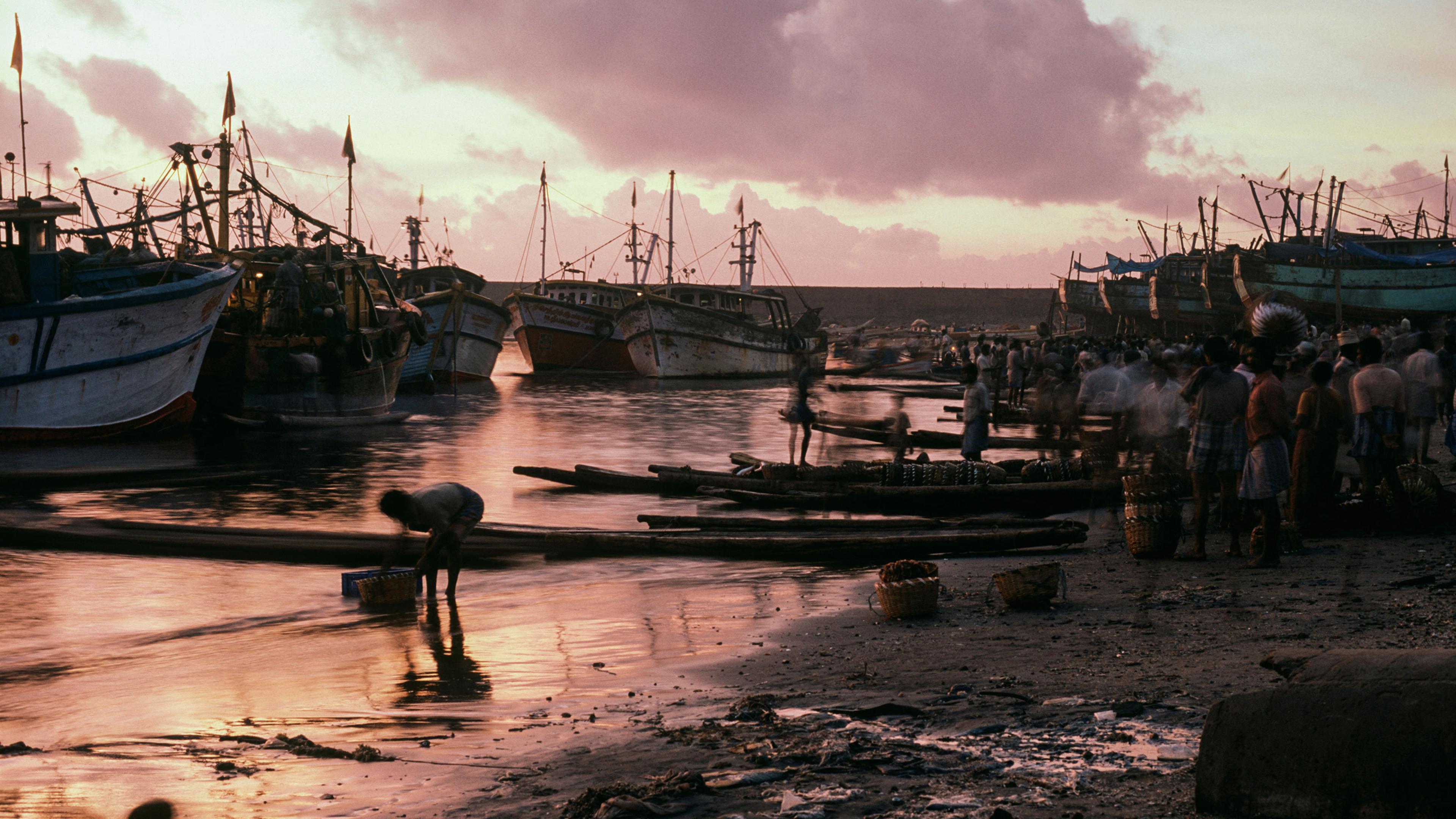 A busy harbour at sunrise with fishing boats docked, people working on the shore and pink clouds in the sky.
