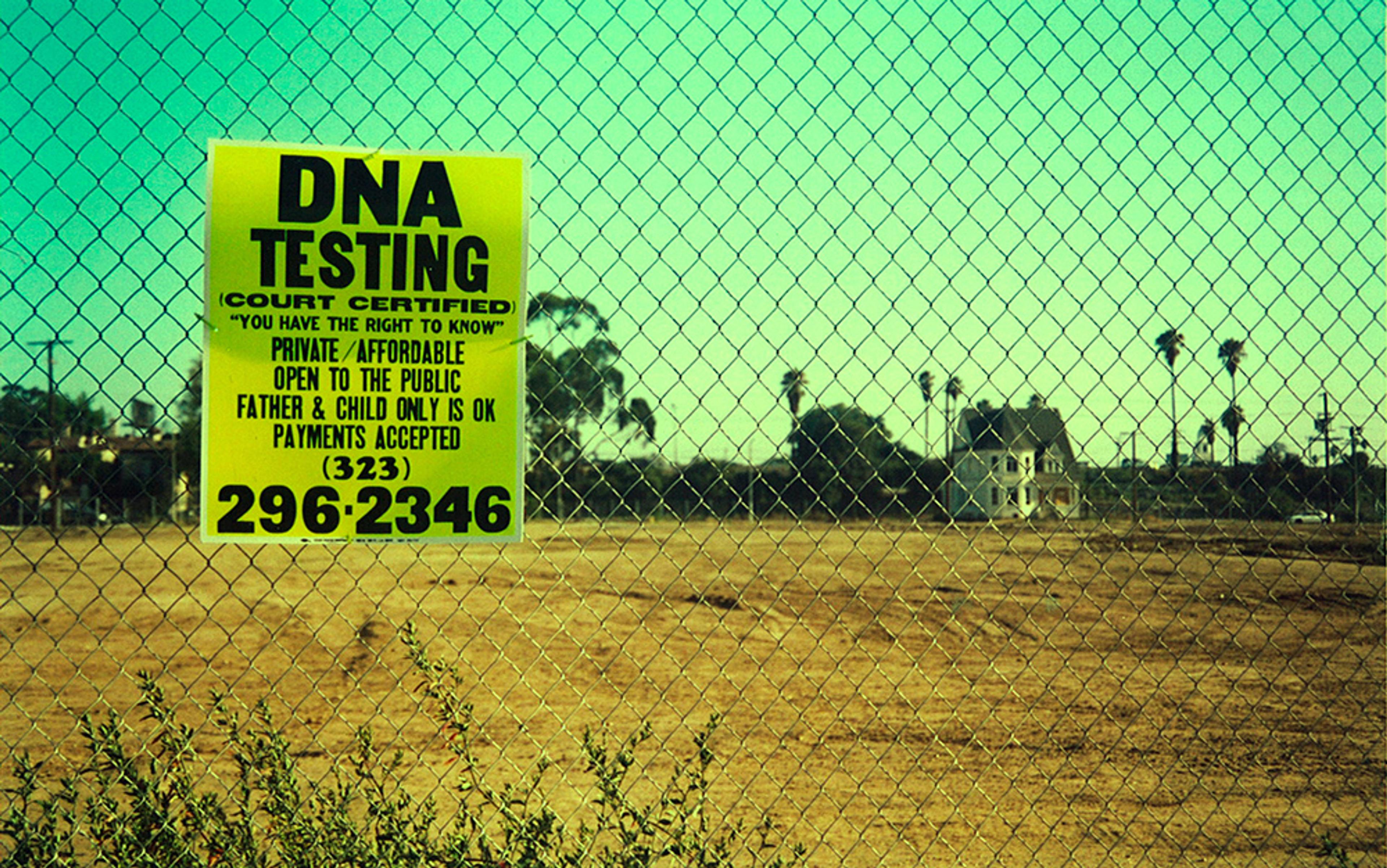 A bright yellow sign advertising DNA testing, posted on a chain-link fence surrounding an empty lot, with buildings and trees in the background.