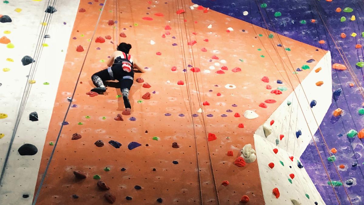 A person climbing a colourful indoor rock wall with various holds and ropes visible.