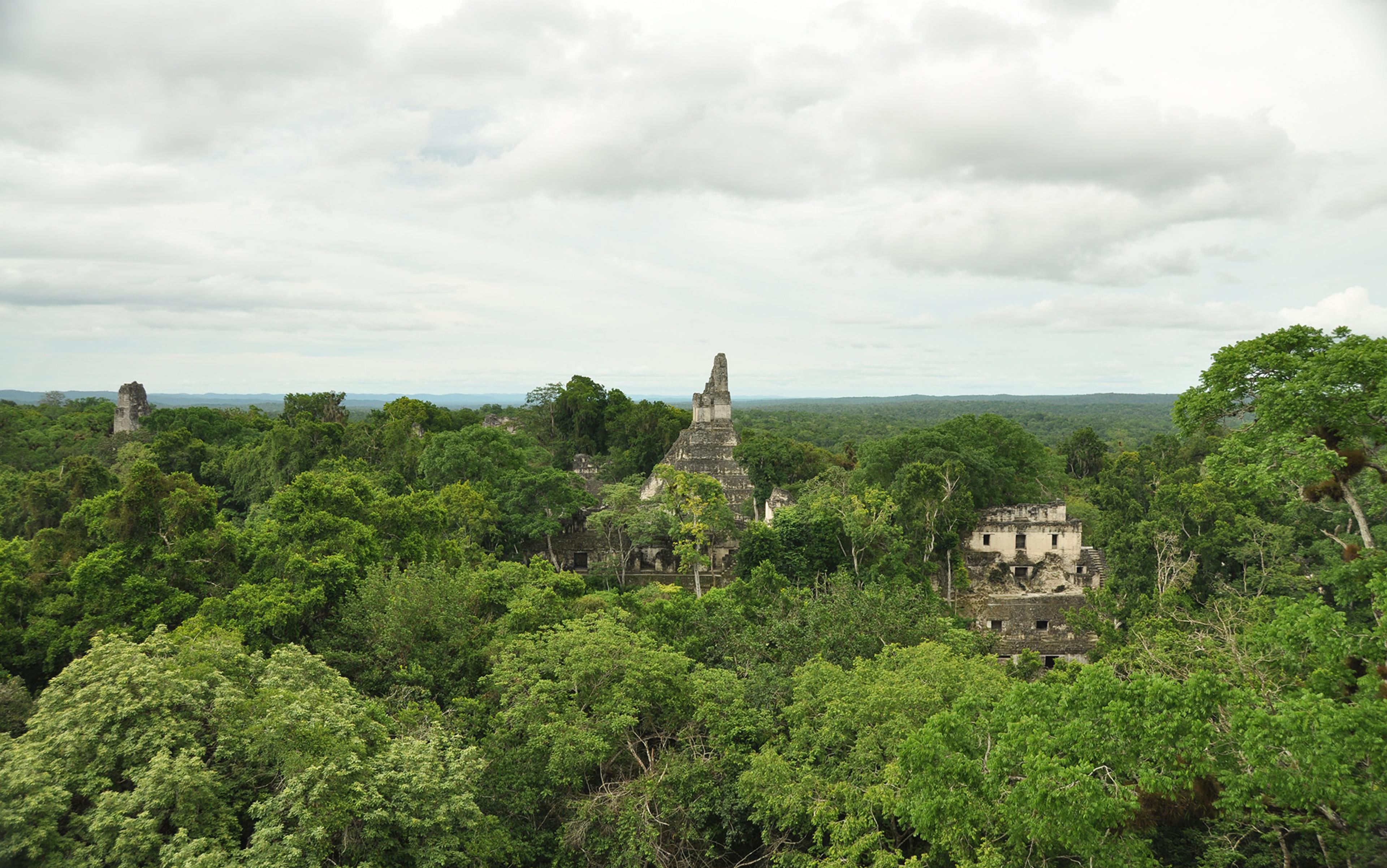 Ancient Mayan ruins, including a prominent stone pyramid, surrounded by dense green jungle under a cloudy sky.