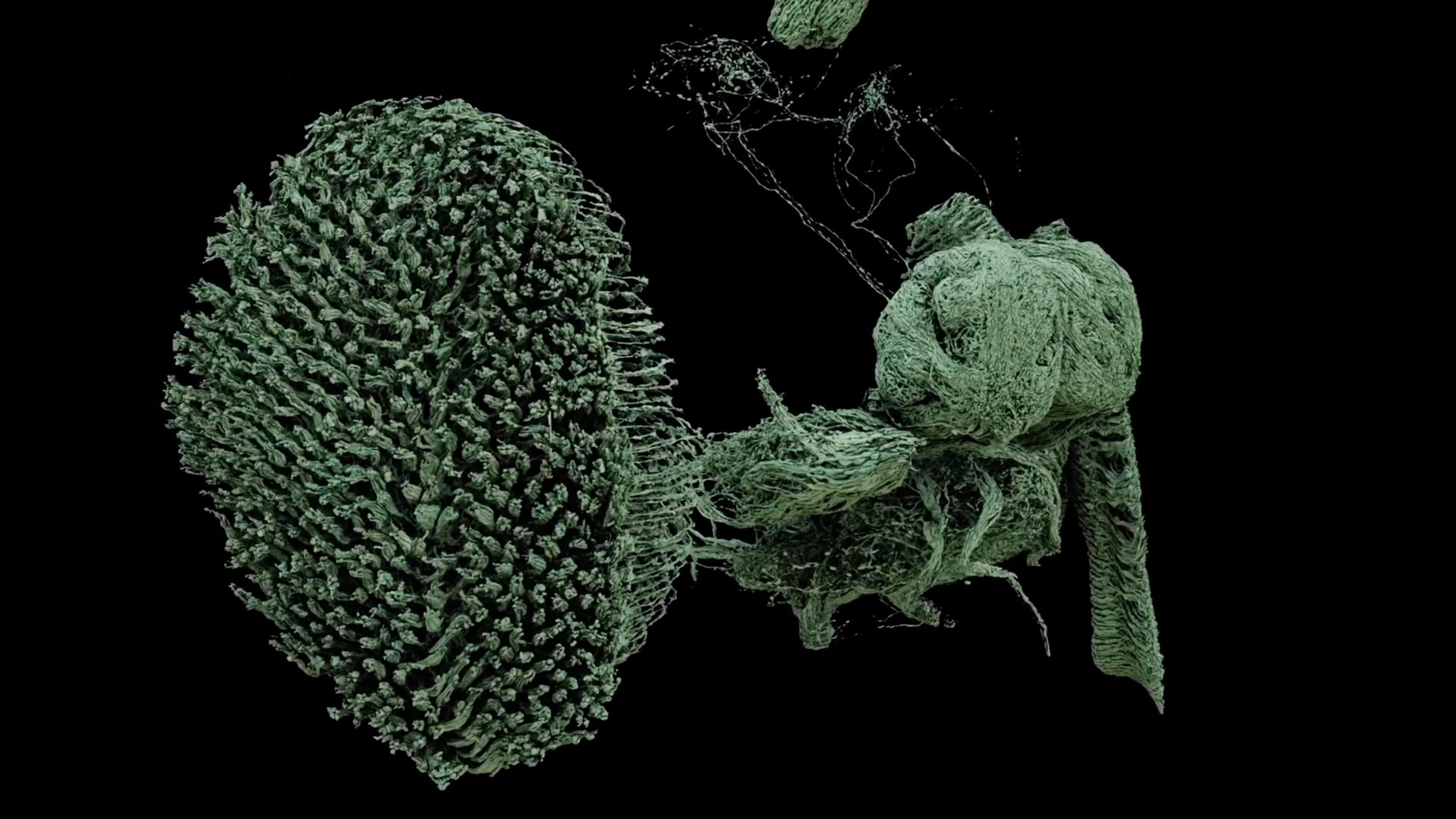 3D rendering of a green, abstract, textured structure resembling dense tangled fibres on a black background.